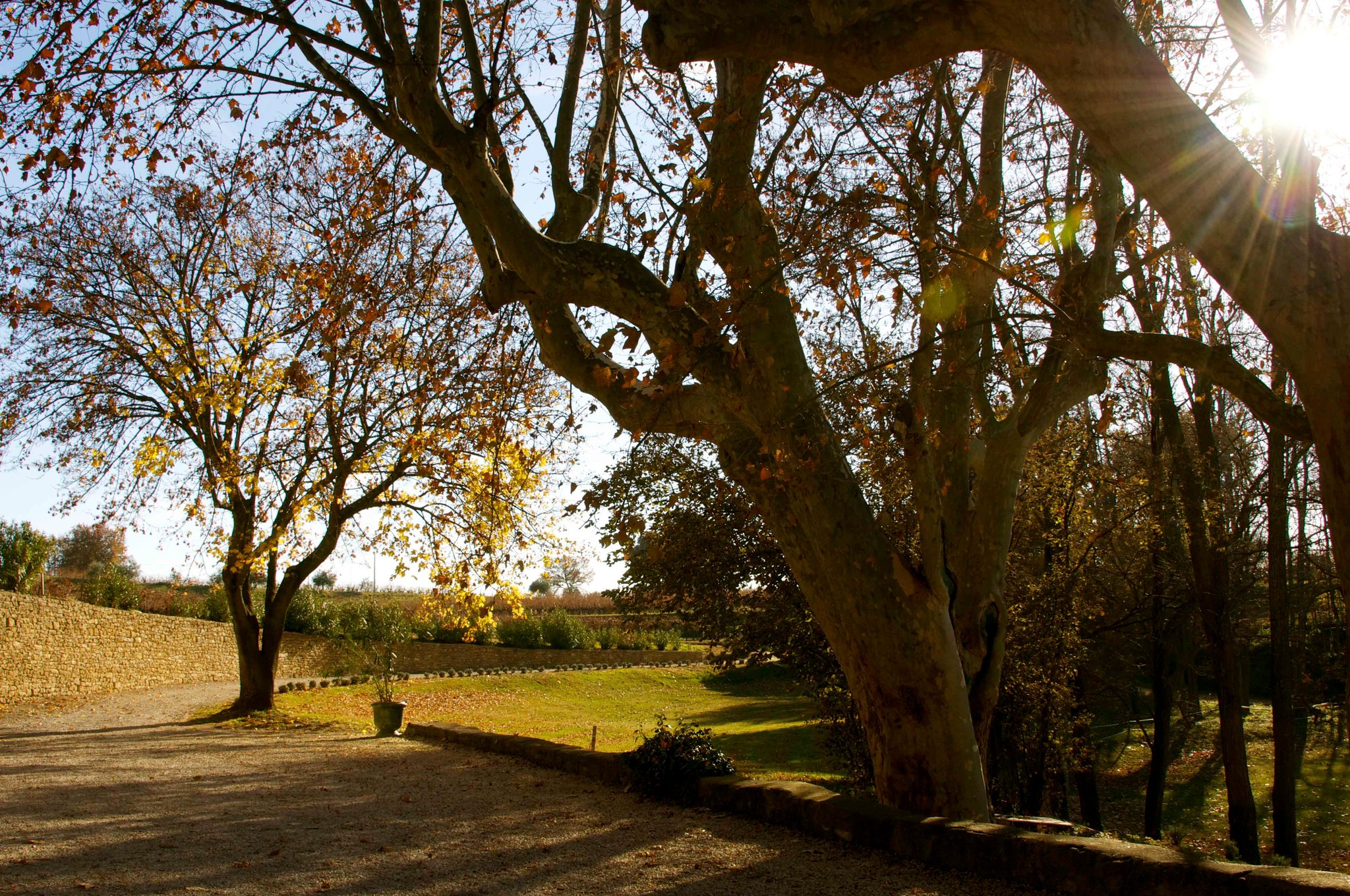 French Countryside 1