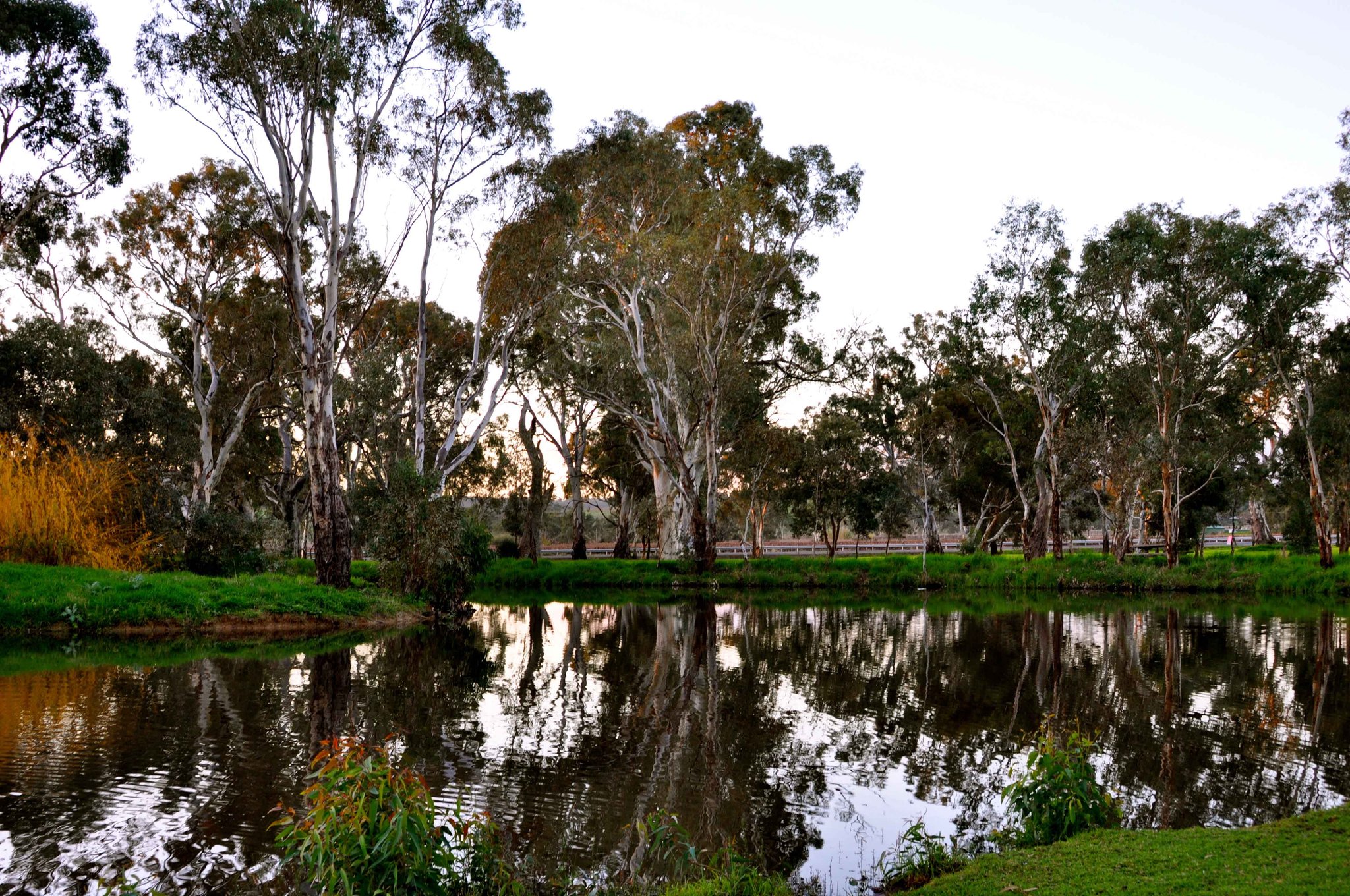 Serafino Winery Reflection