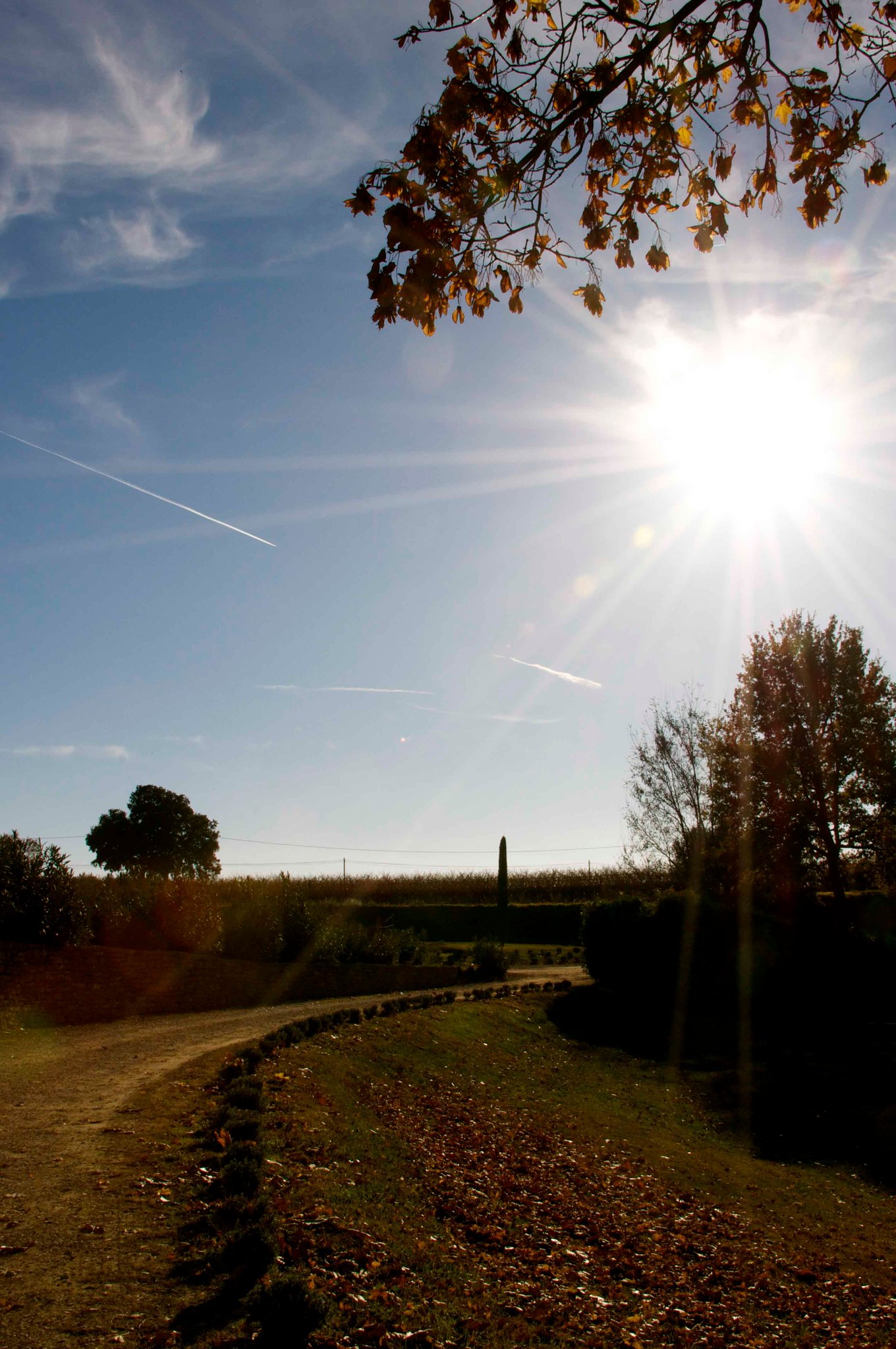 French Countryside 2