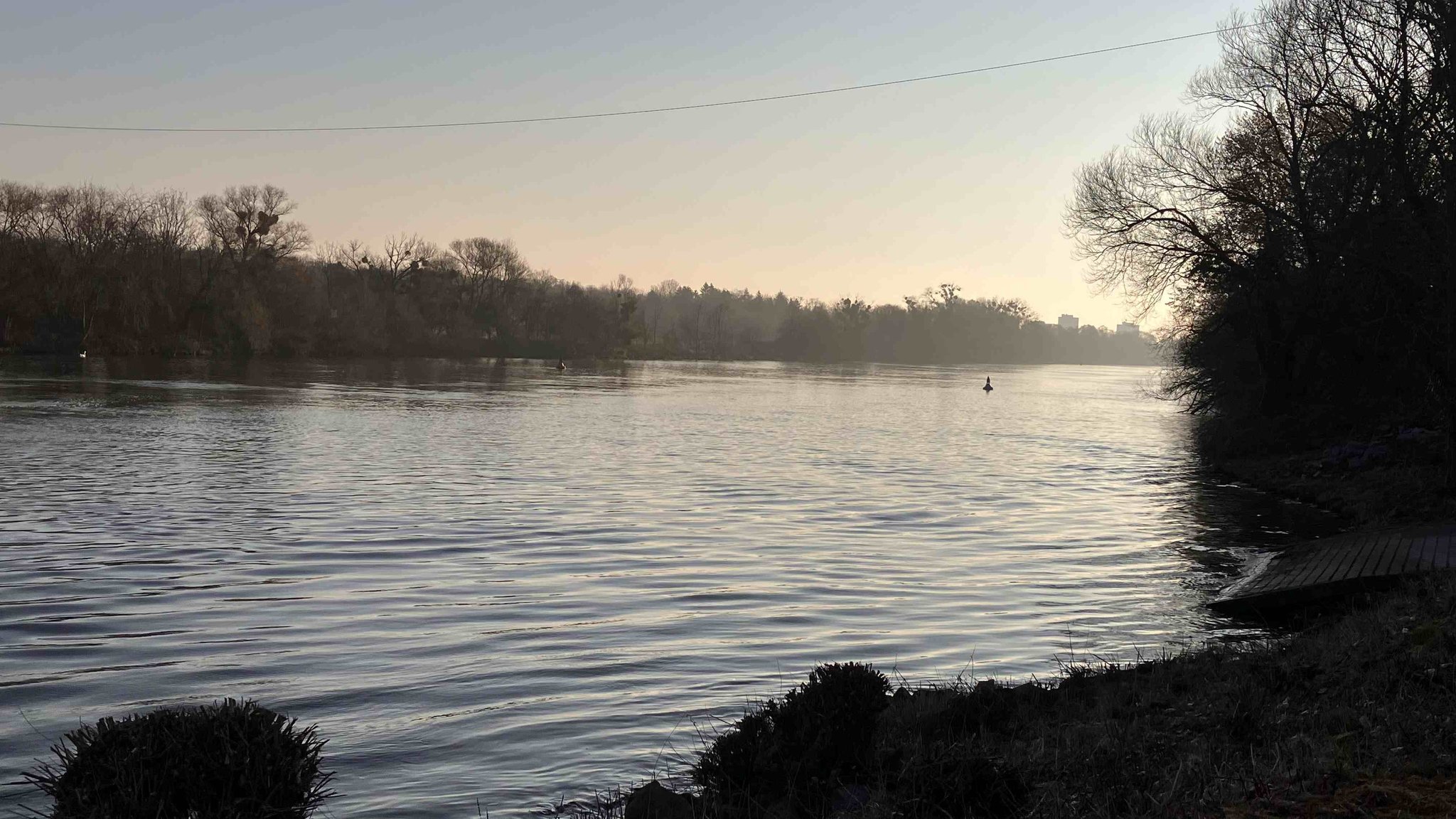 Morgenstimmung am Main