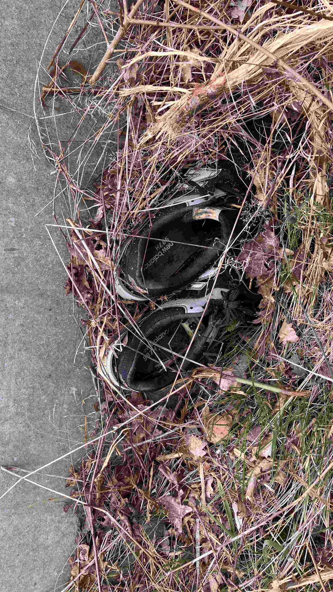 Diese Schuhe wurden leider nicht an den Nagel gehängt, sondern hinter der Leitplanke abgestellt.