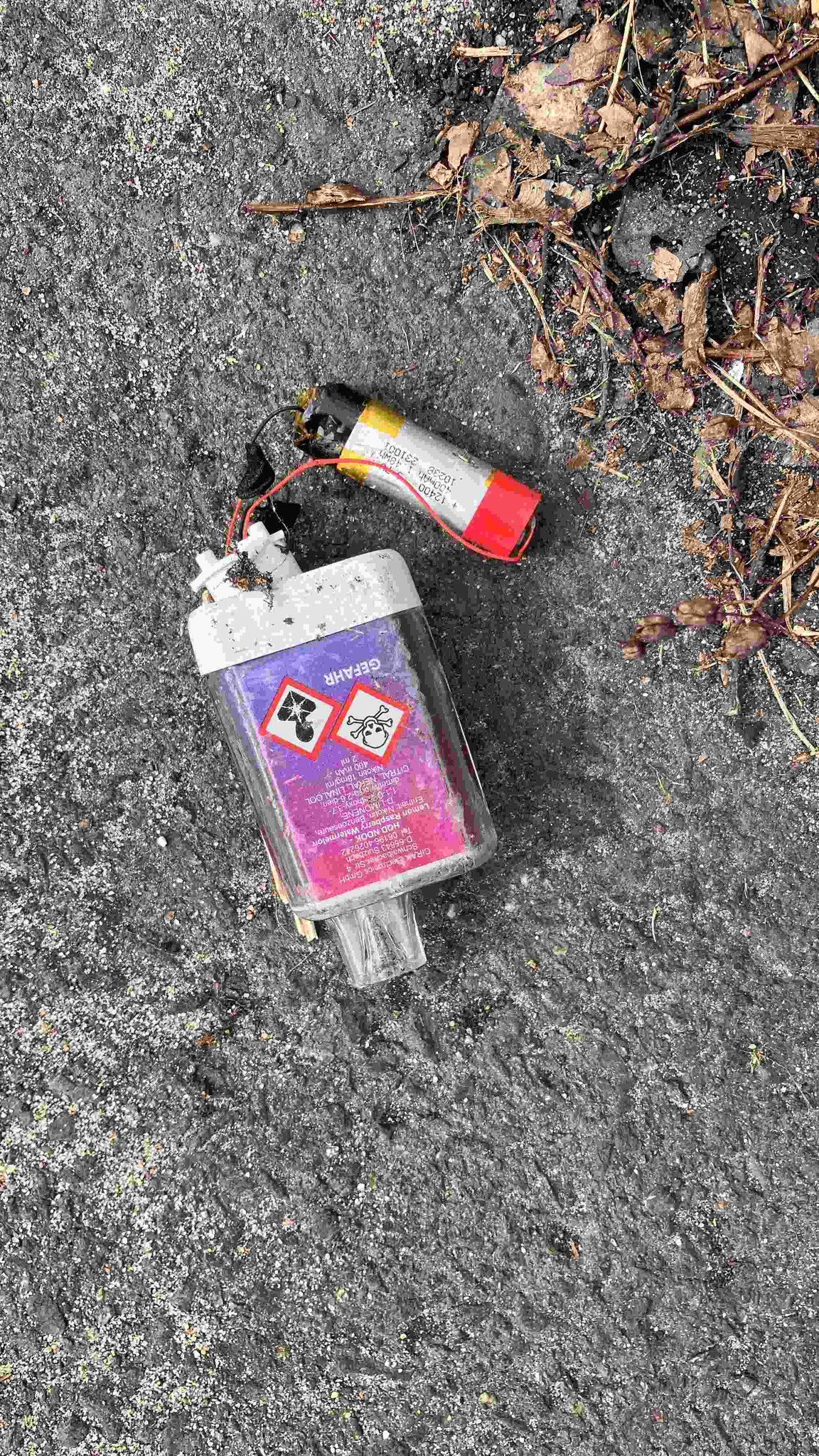 … und auf giftige und gefährliche Fundstücke.