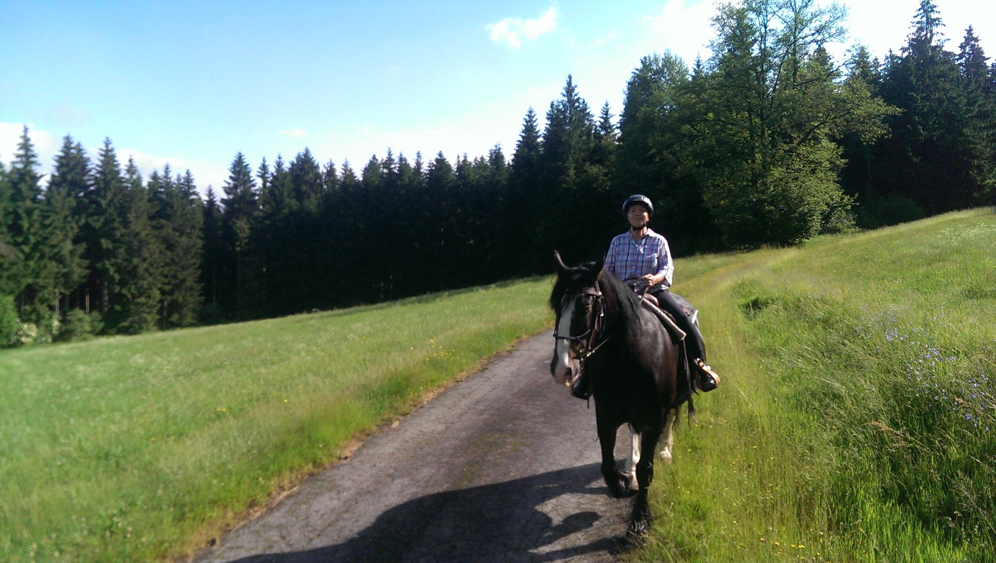 Ausflug im Frühsommer