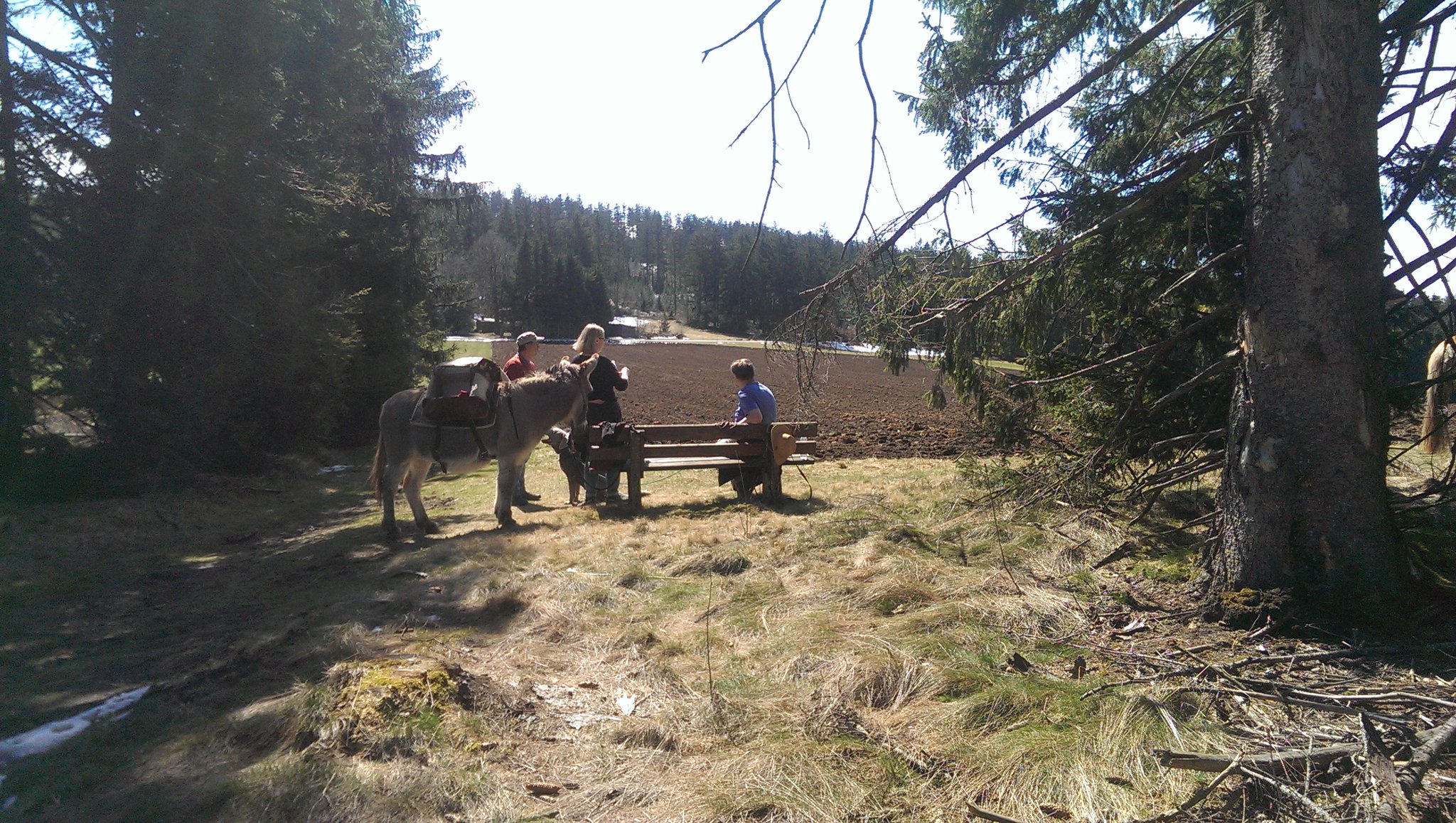 kleiner Ausflug mit der Stallgemeinschaft