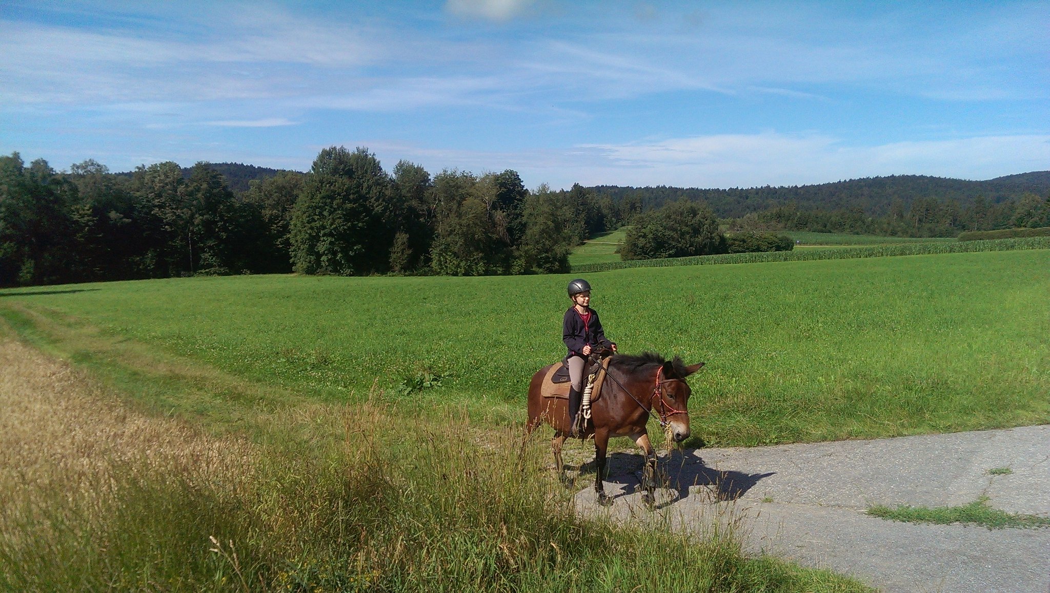 Ausritt im Spätsommer