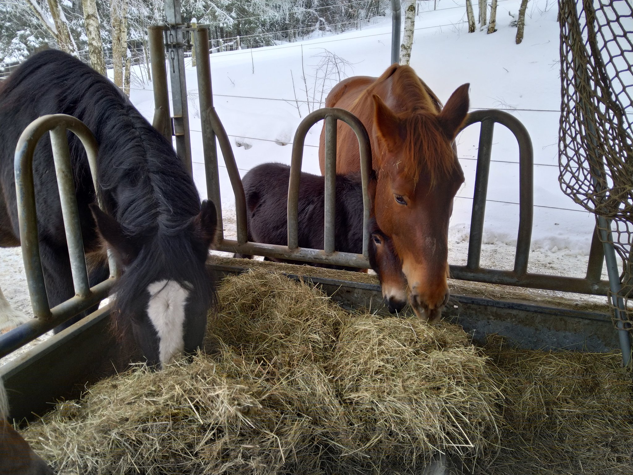 gemeinsam schmeckt's am besten