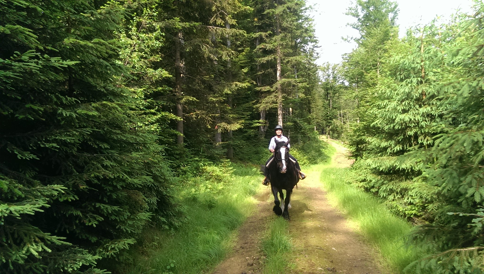 Ausflug im Frühsommer