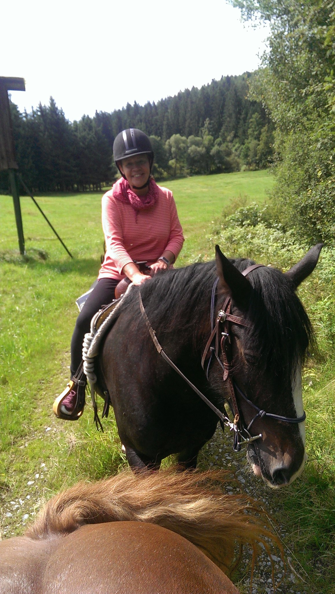 Ausritt im Spätsommer