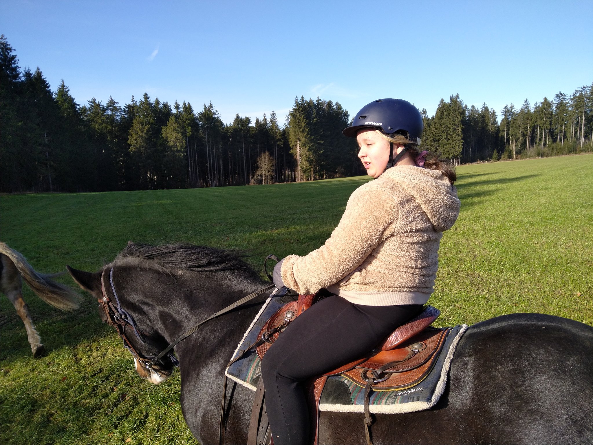 Stallausflug im November