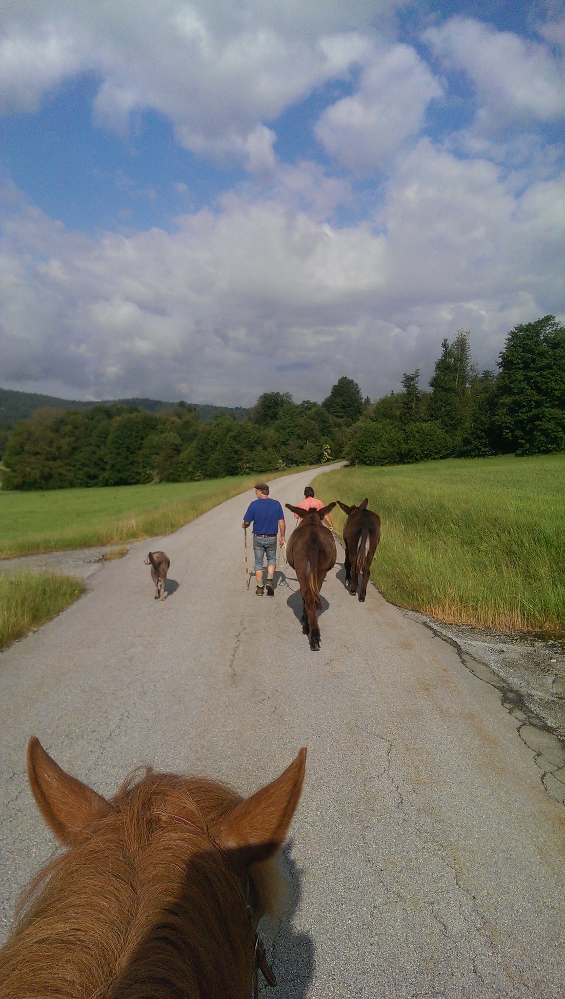 Ausflug im Frühsommer
