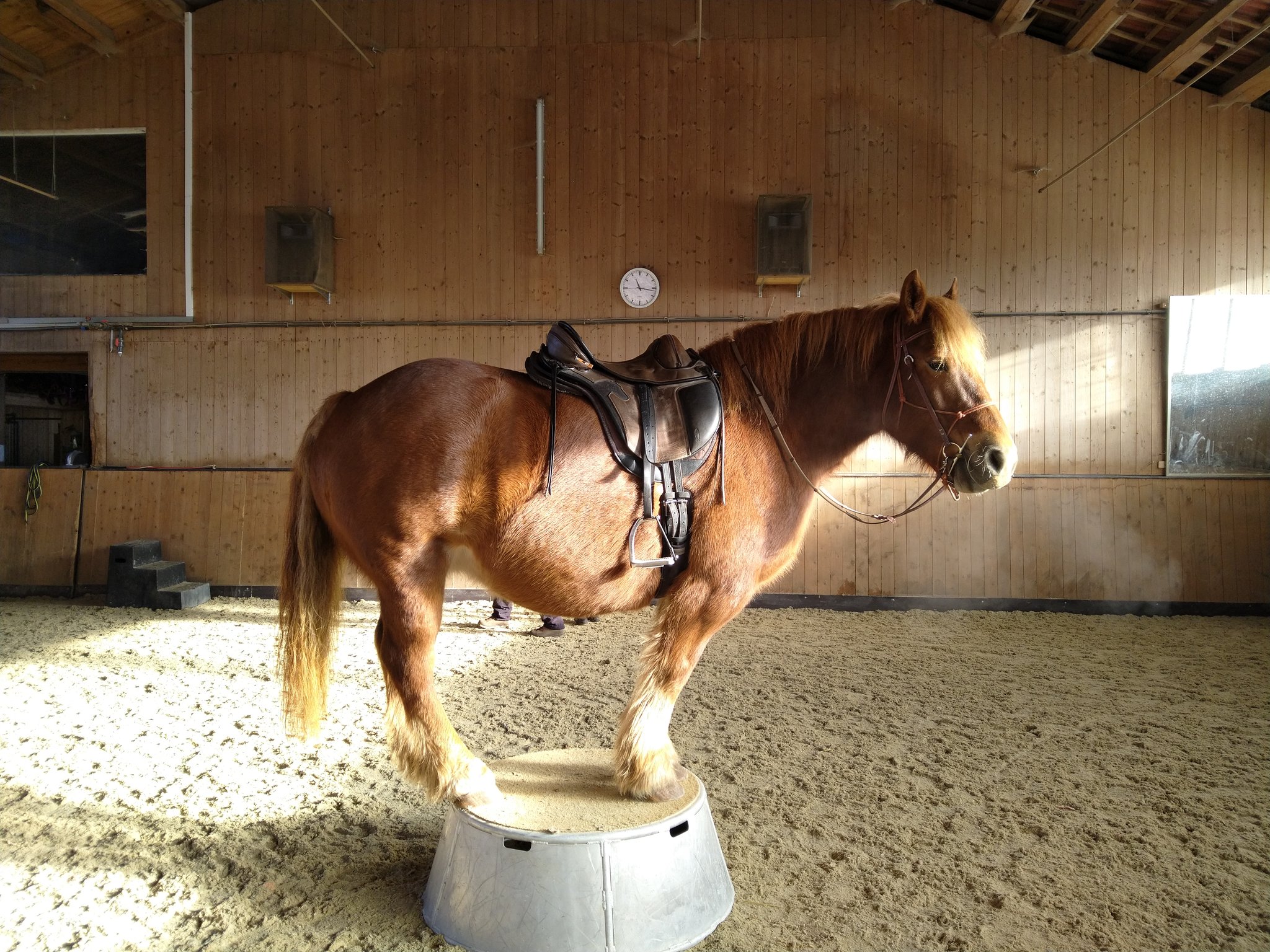 Winterarbeit - Winterspiele - Suli