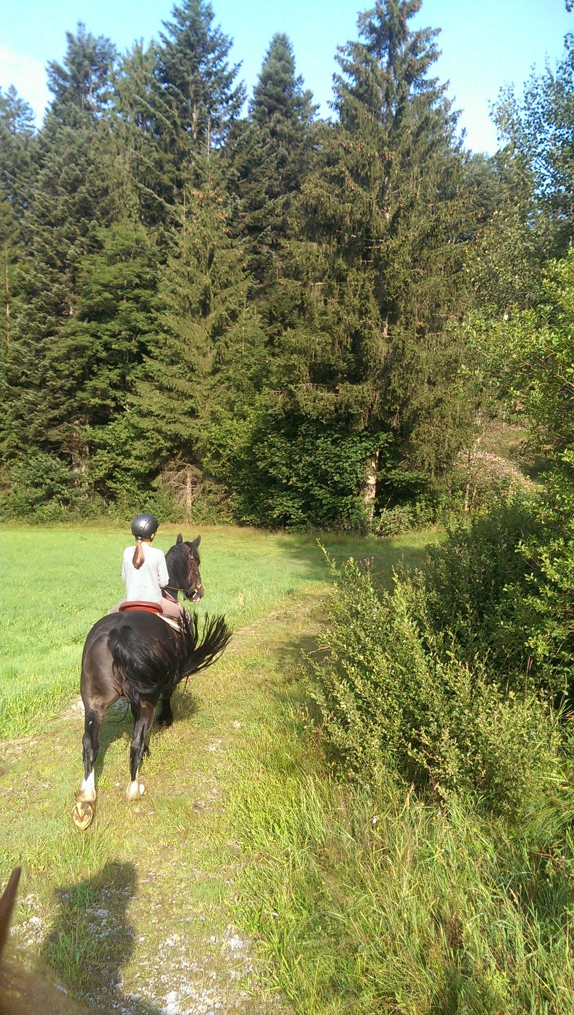 Ausritt im Spätsommer