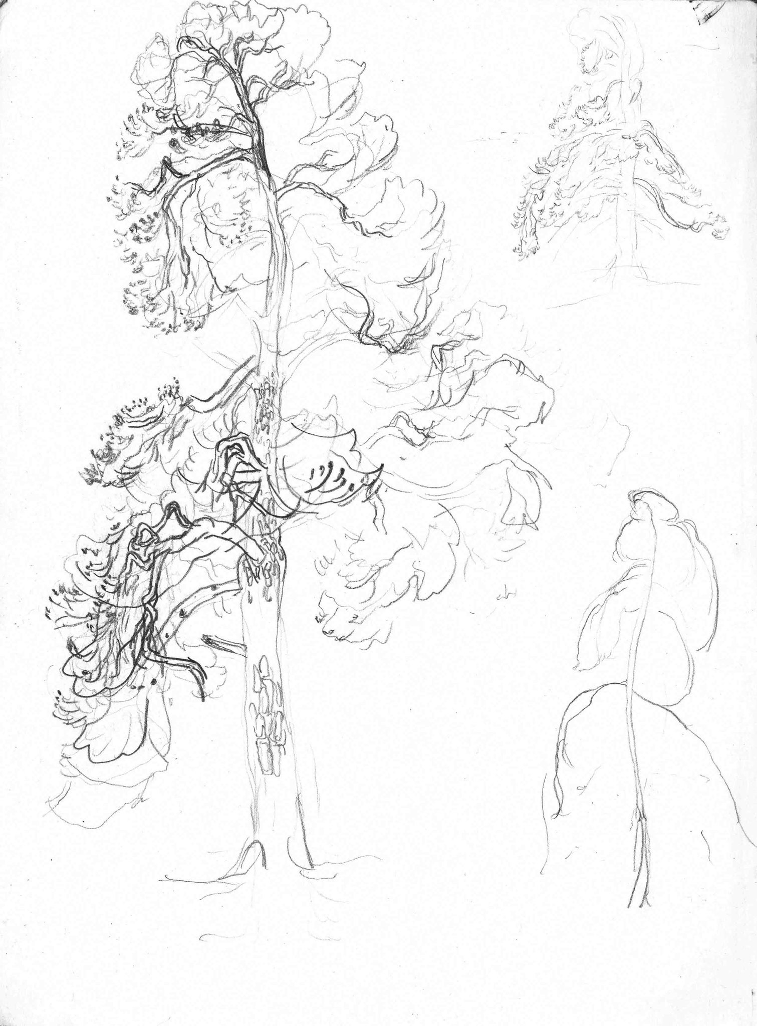 Sketchbooks-2016-Pencil-On-Paper-24.8x17.4Cm