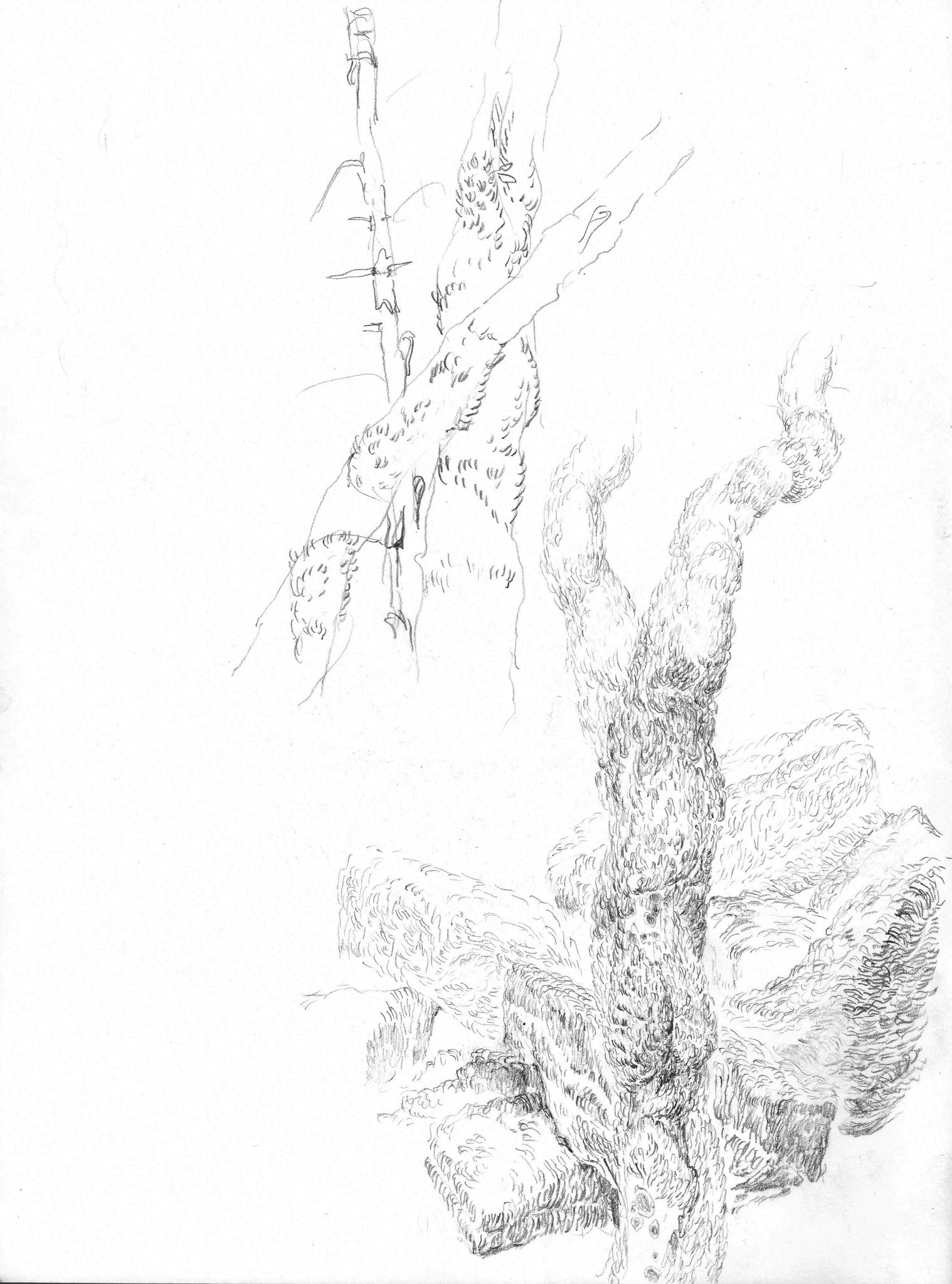 Sketchbooks-2016-Pencil-On-Paper-24.8x17.4Cm