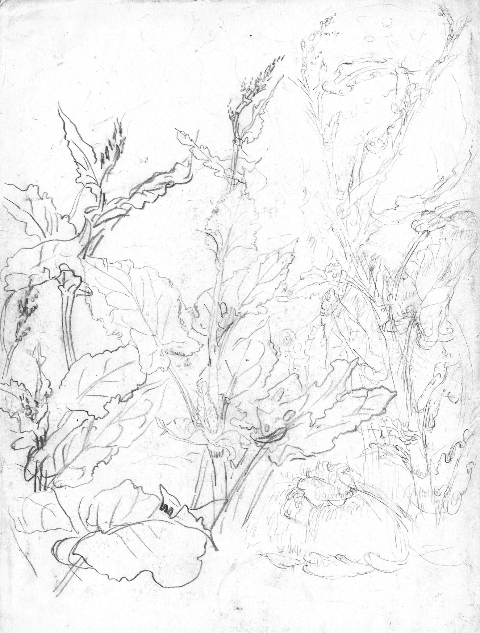 Sketchbooks-2016-Pencil-On-Paper-24.8x17.4Cm