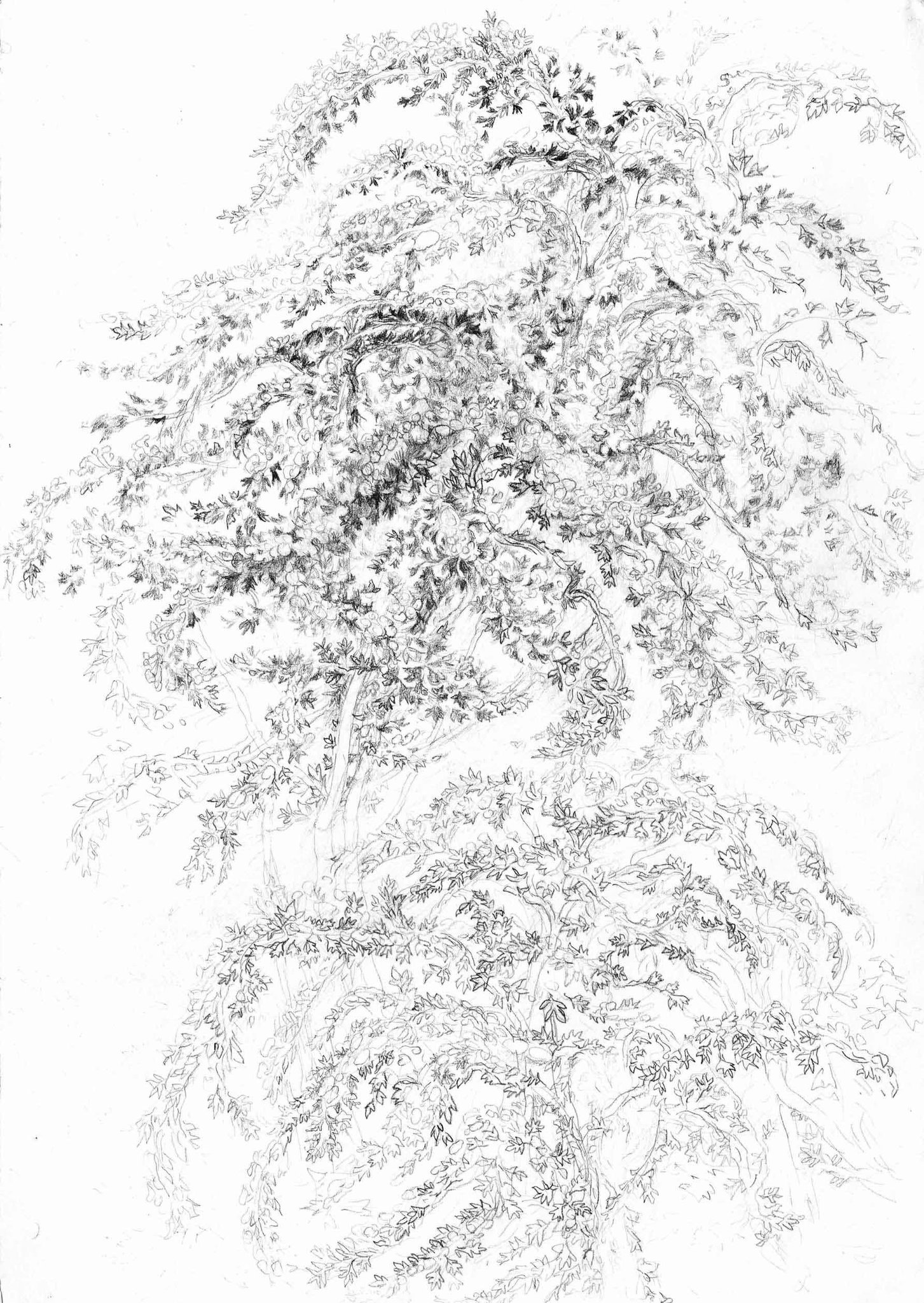 Sketchbooks-2016-Pencil-On-Paper-24.8x17.4Cm