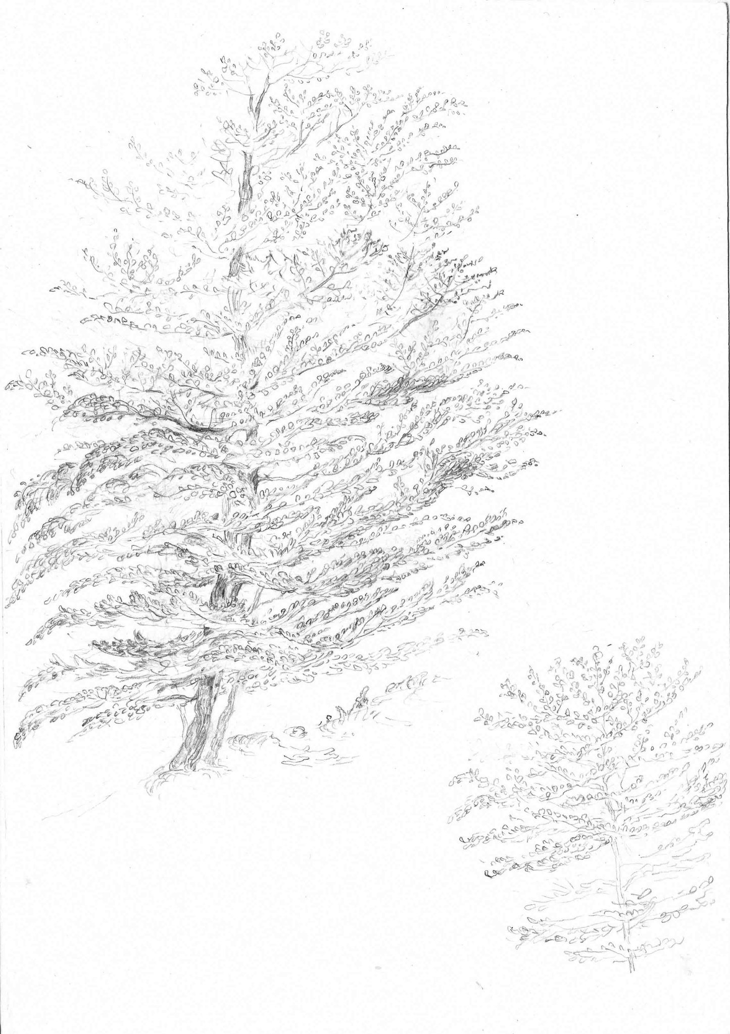 Sketchbooks-2016-Pencil-On-Paper-24.8x17.4Cm