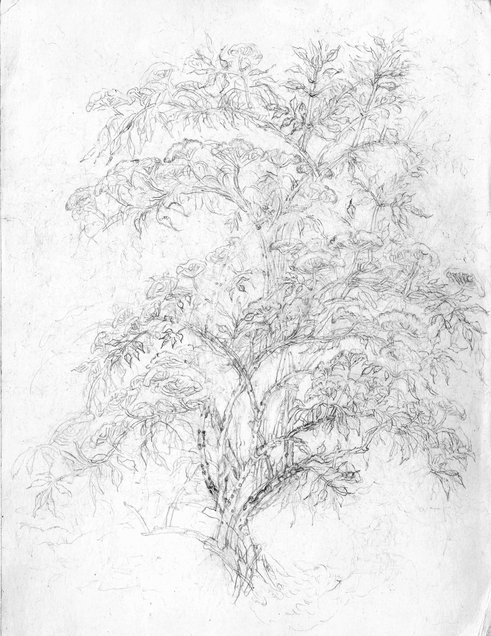 Sketchbooks-2016-Pencil-On-Paper-24.8x17.4Cm