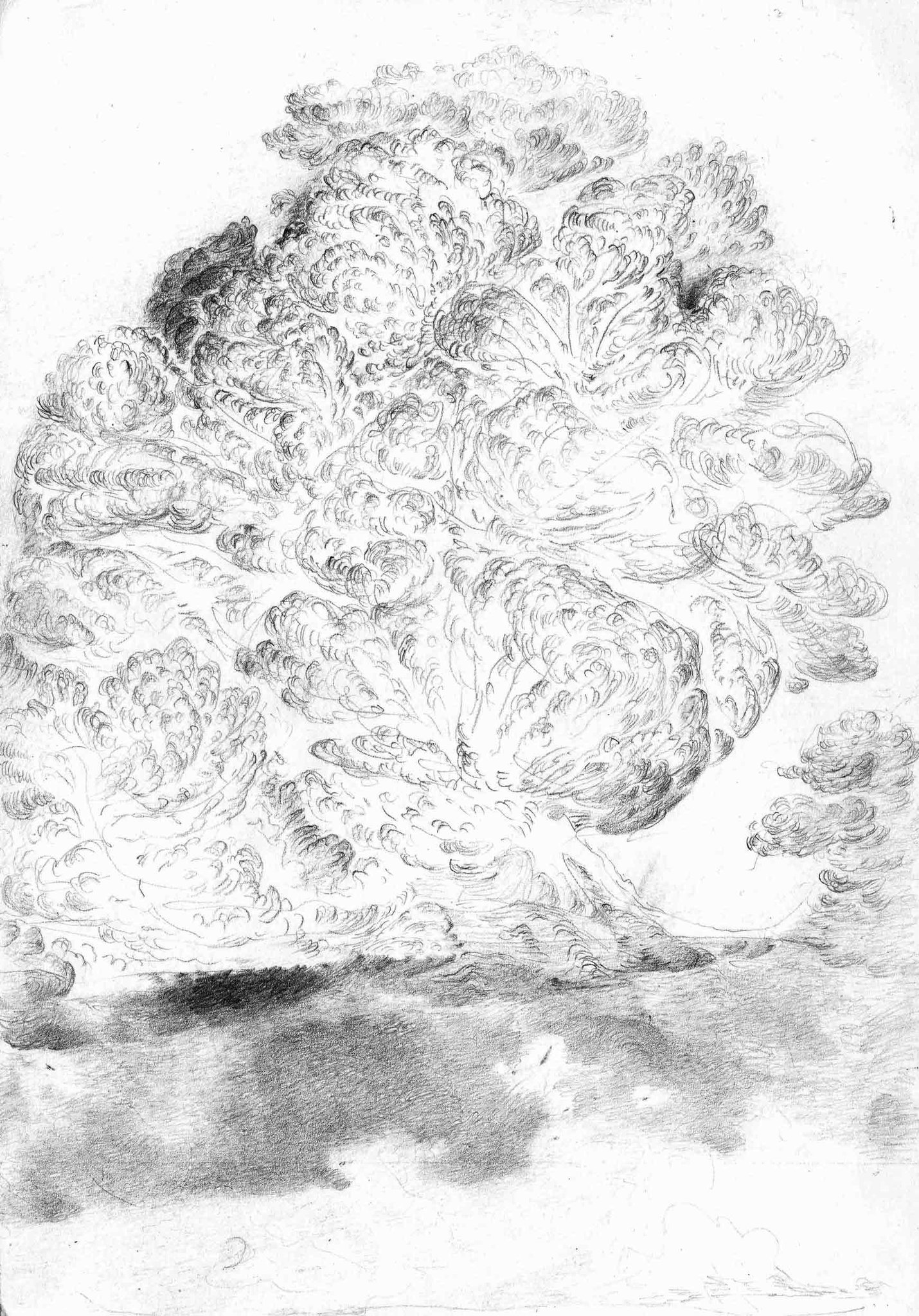 Sketchbooks-2016-Pencil-On-Paper-24.8x17.4Cm