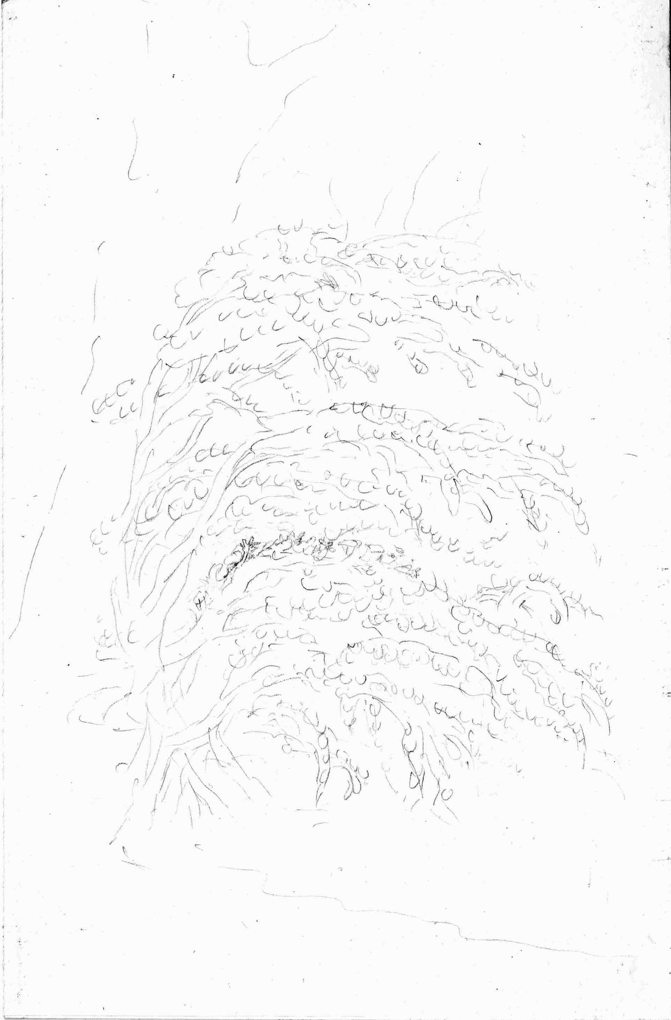 Sketchbooks-2016-Pencil-On-Paper-24.8x17.4Cm