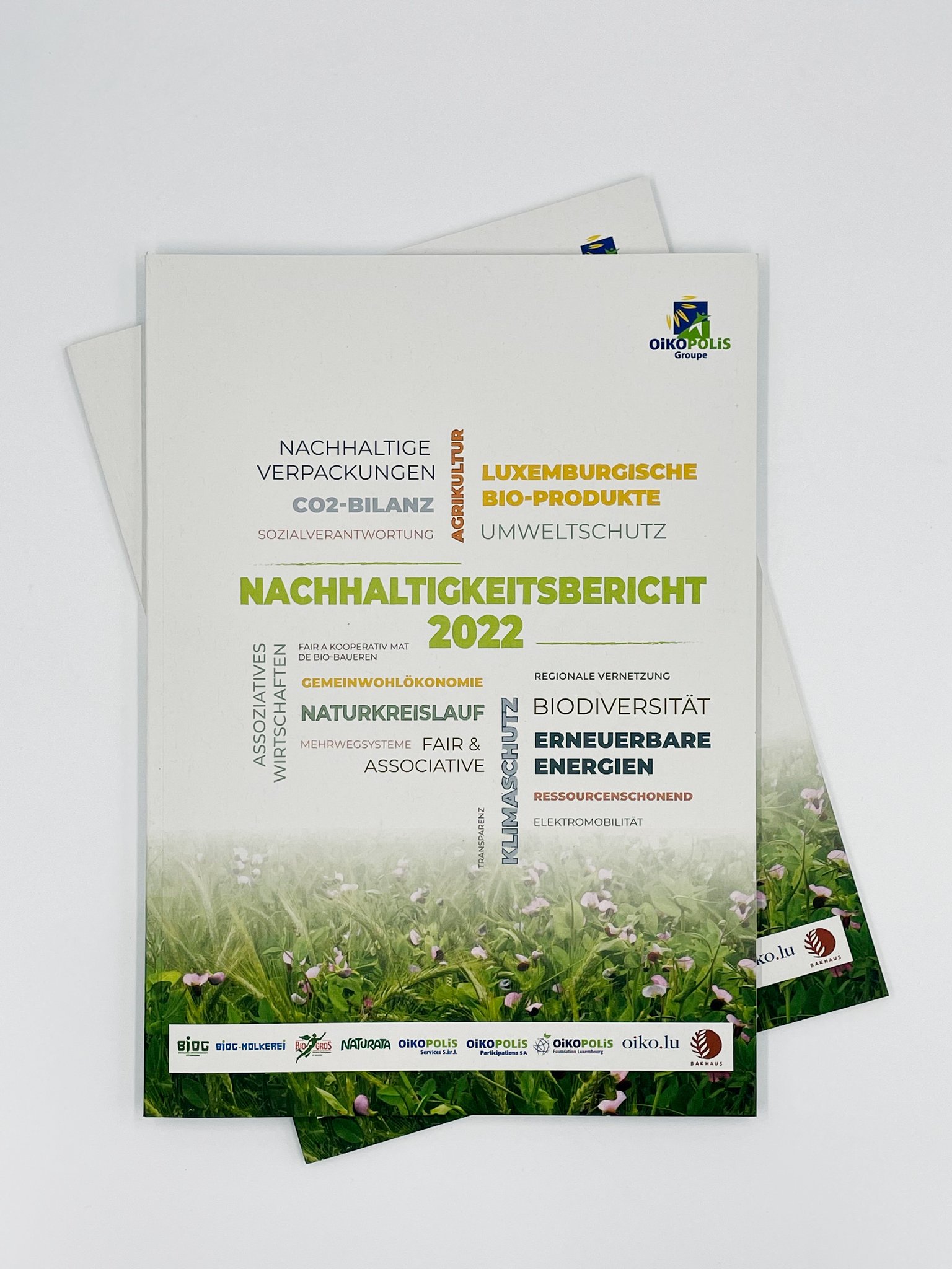 Layout and design for sustainability brochure
