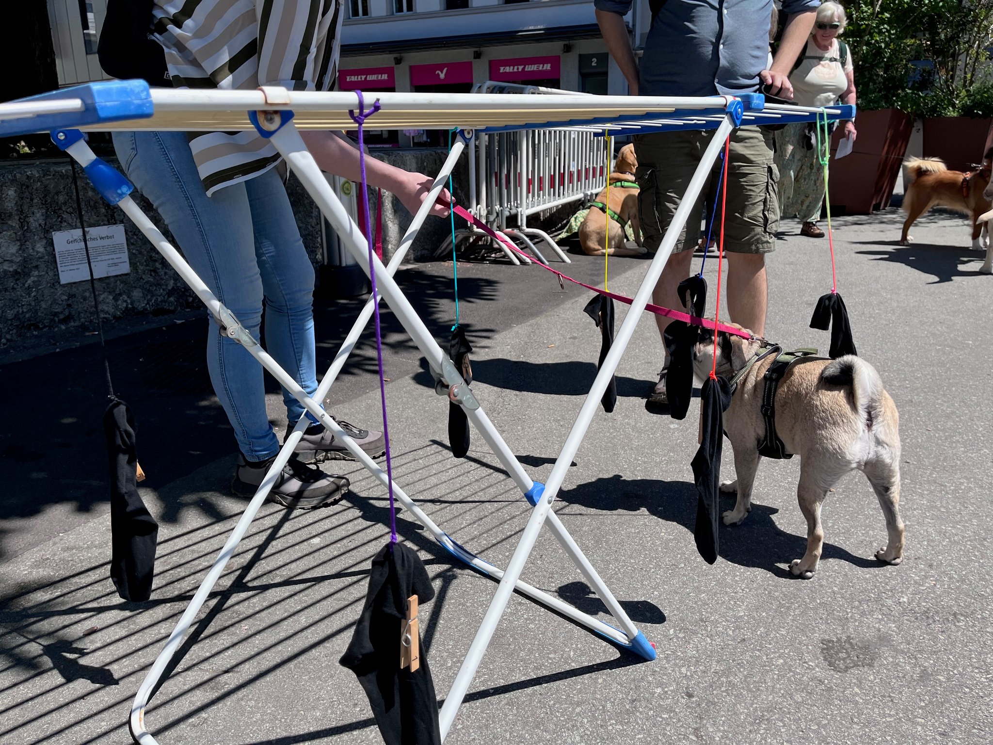 07_Schnuppern beim KVSO