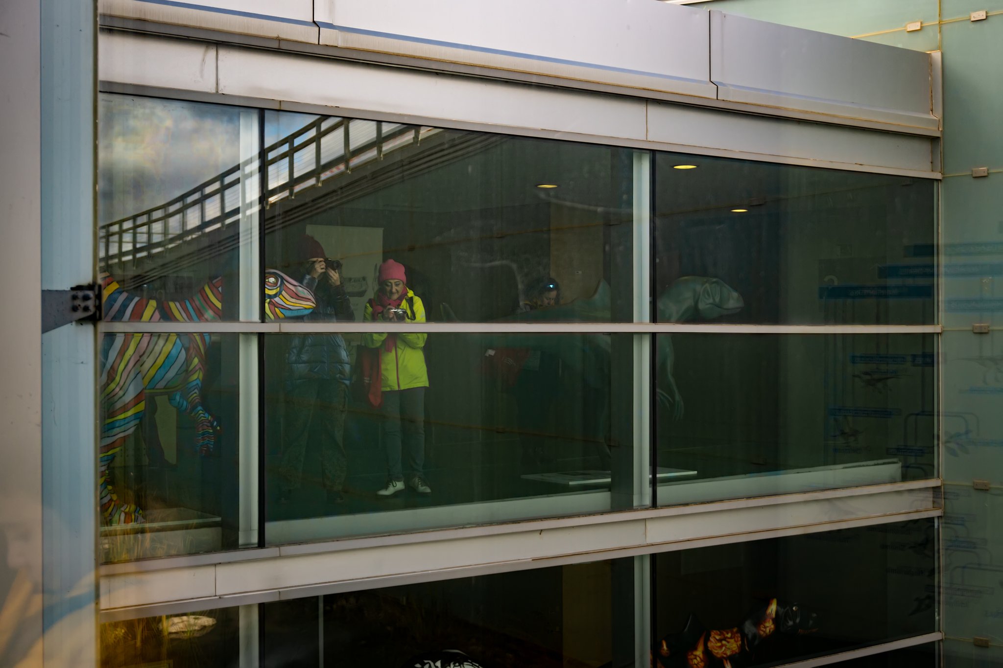 El mundo de Dino - Daniela López