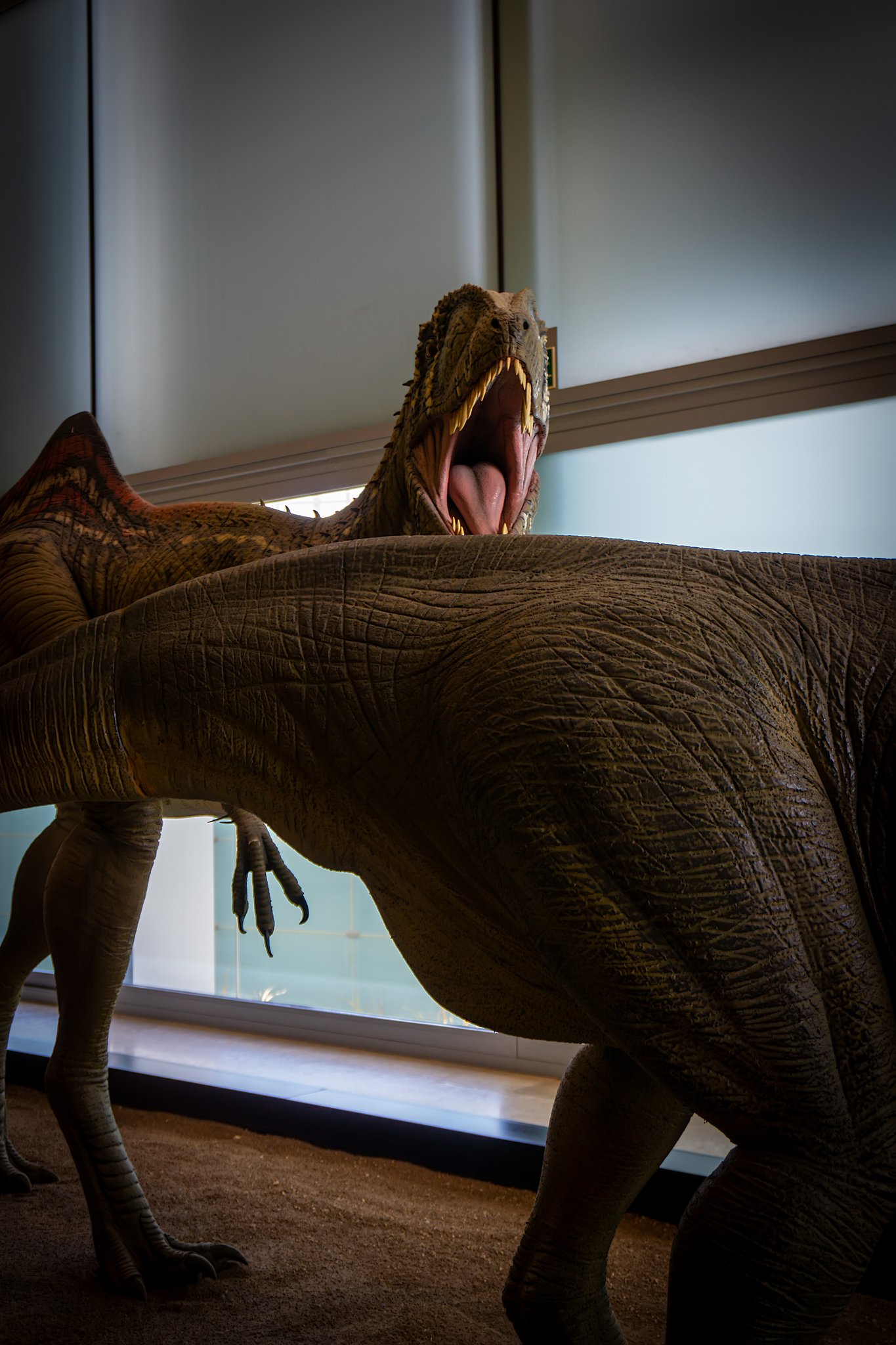 El mundo de Dino - Daniela López