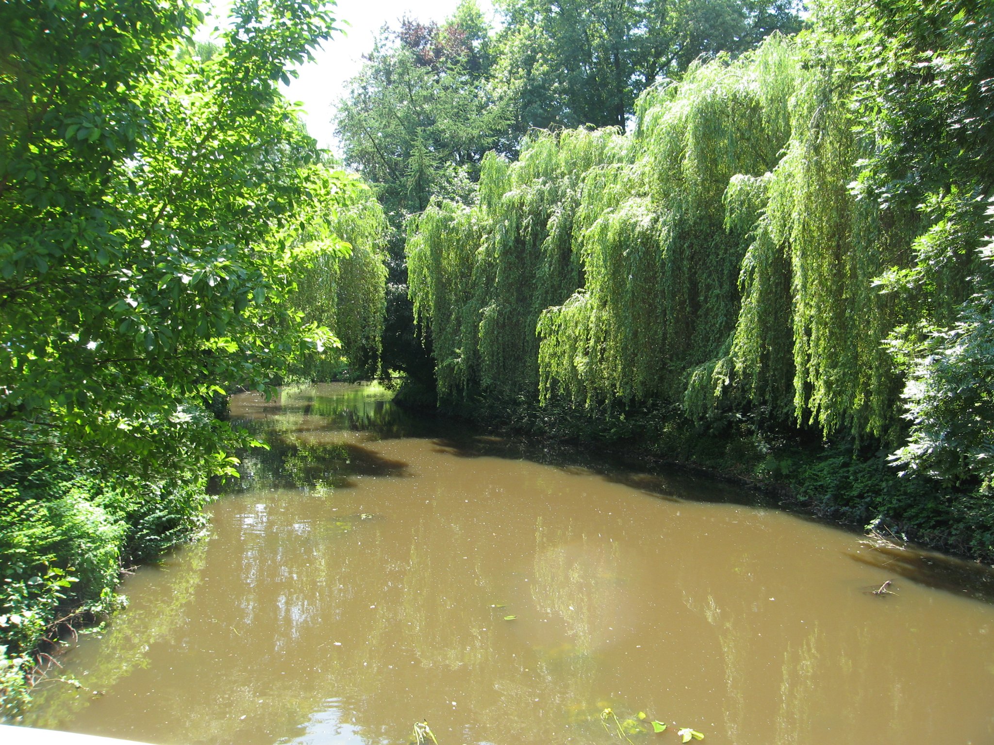 De Dommel en het Dommelplantsoen. 
