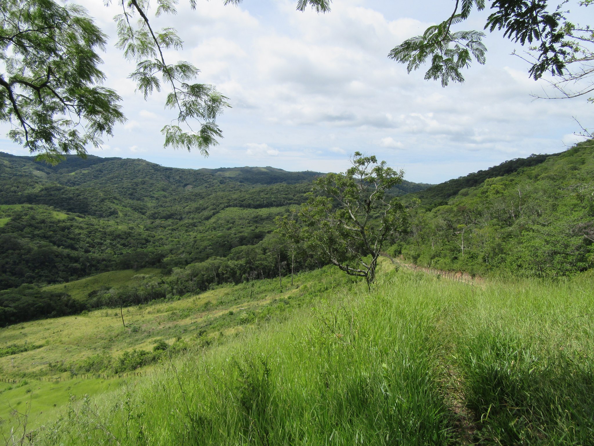 Unser Hochplateau liegt auf 1.400 bis 1.800 Metern Höhe
