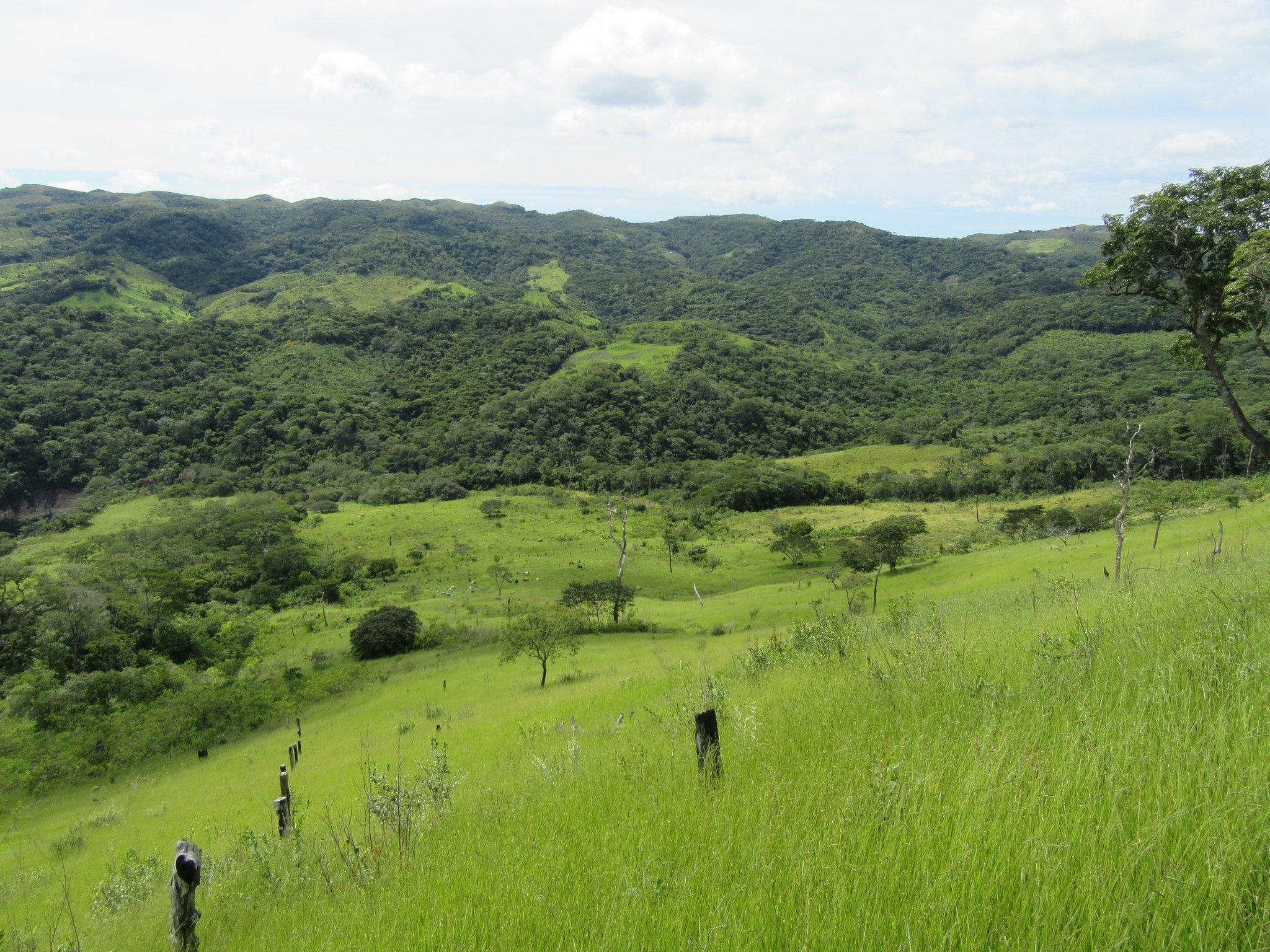 Unser Zufluchtsort ist wirklich einzigartig und ein Geschenk Gottes