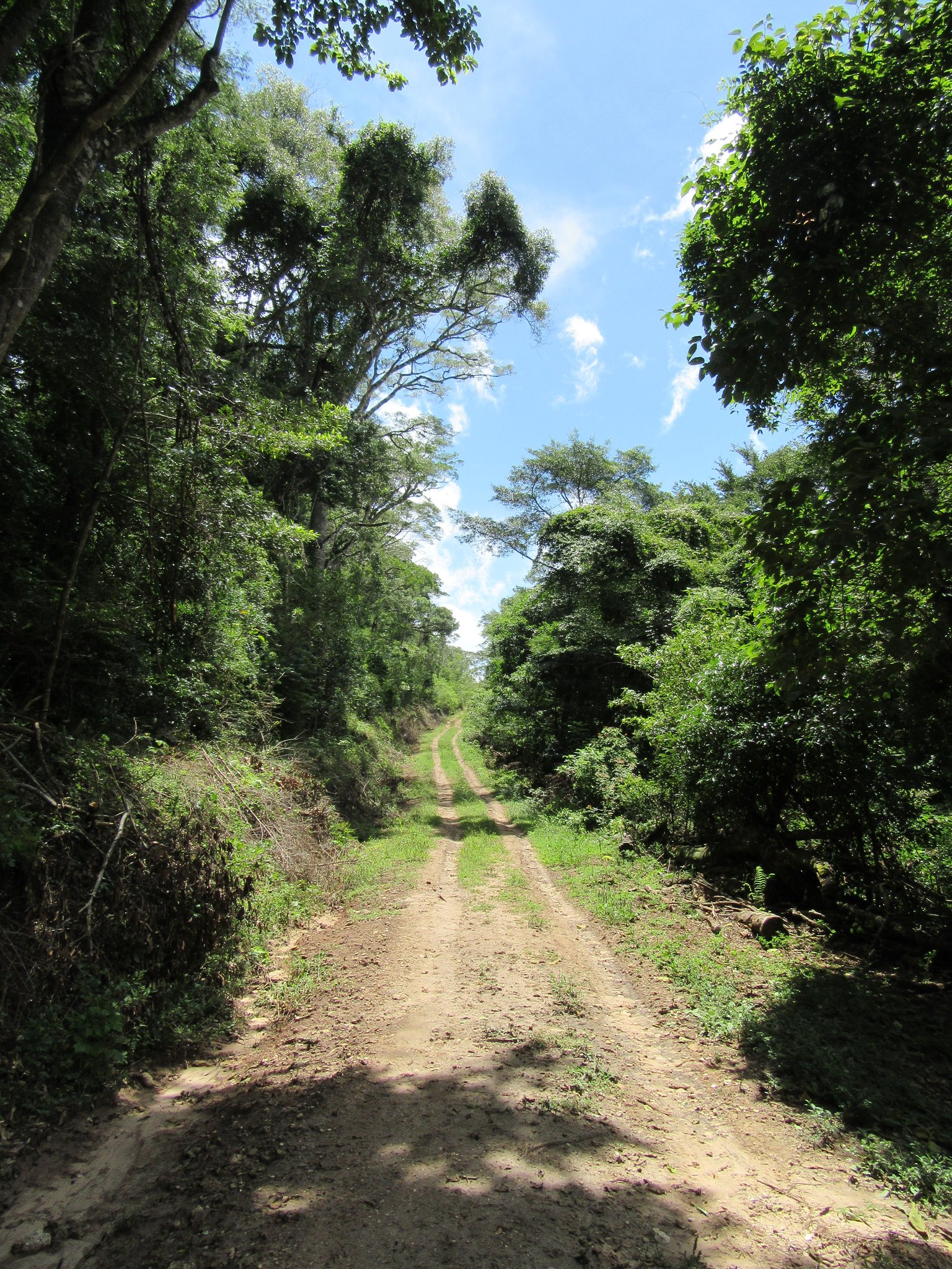 So sehen derzeit die Landwege im Zufluchtsort aus