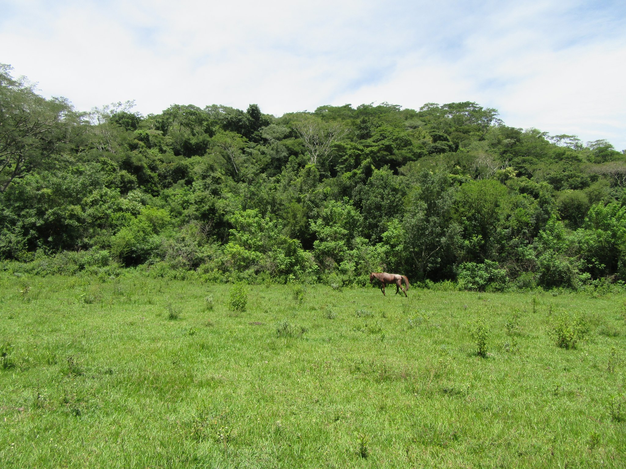 Ein Ort, an dem man Frieden und Ruhe finden kann 