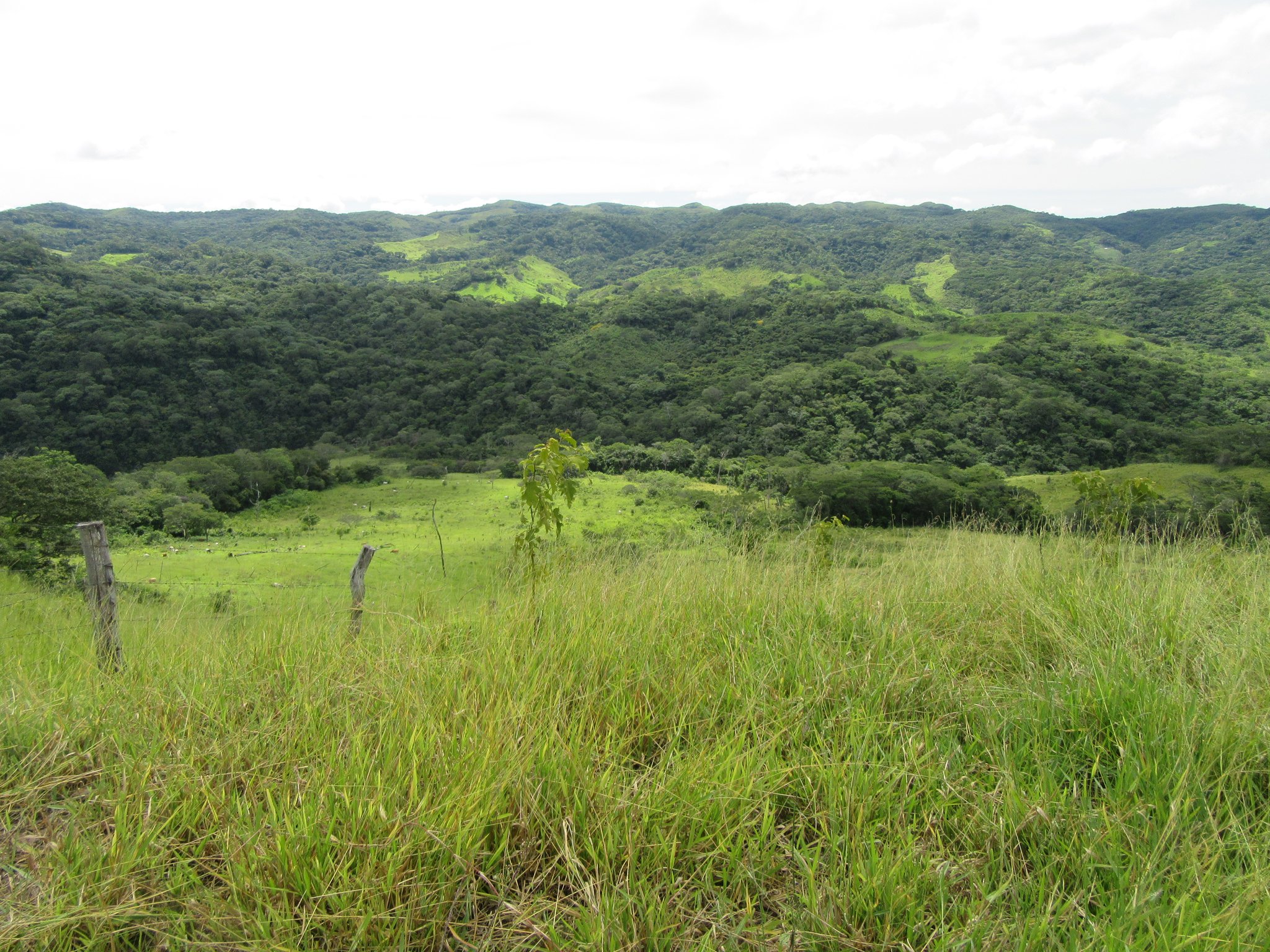 Das Klima ist das ganze Jahr über sehr angenehm, da es weder zu schwül noch zu kalt oder warm wird