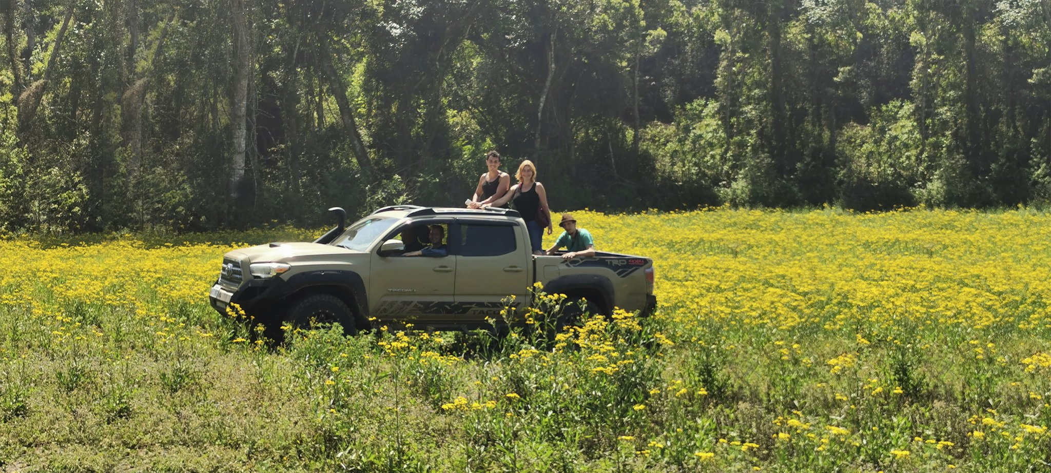 Ökotourismus und Freiheit im Projekt