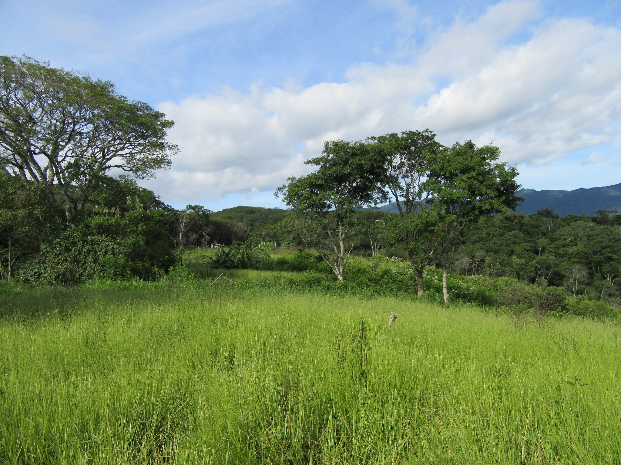 An verschiedenen Stellen wird es Fruchtbaumplantagen für alle Anwohner geben