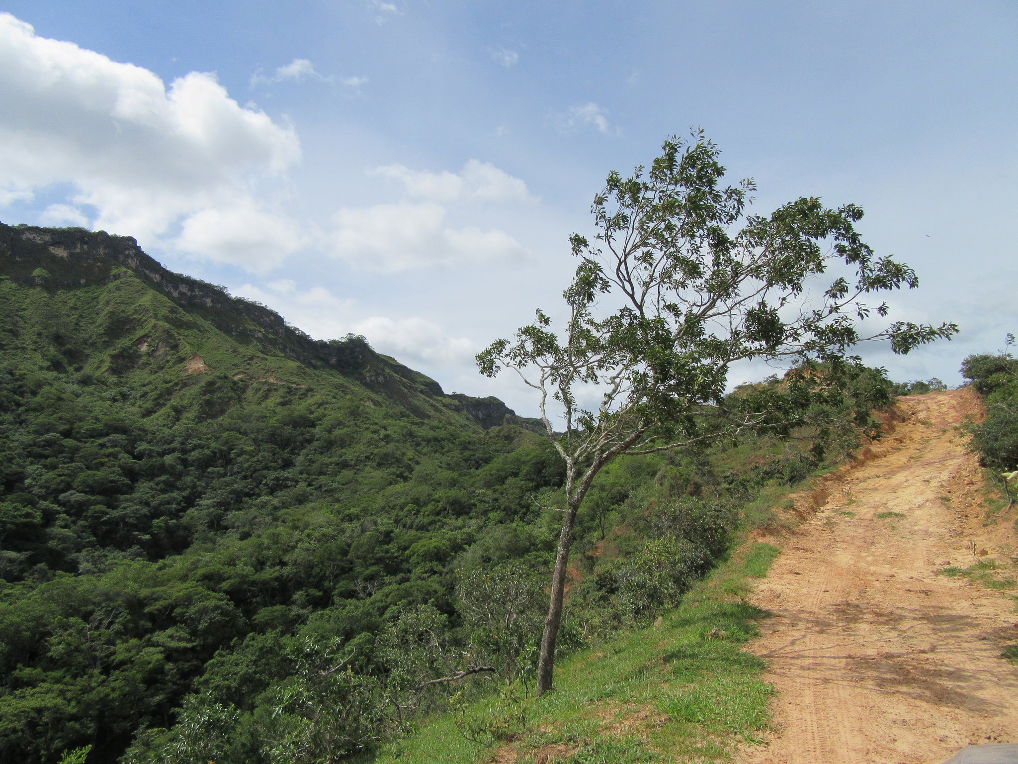Der Weg der Auffahrt, die zum strategischen Hochplateau führt