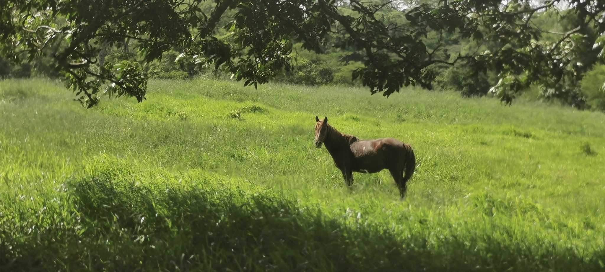 Naturverbundenes Leben 
