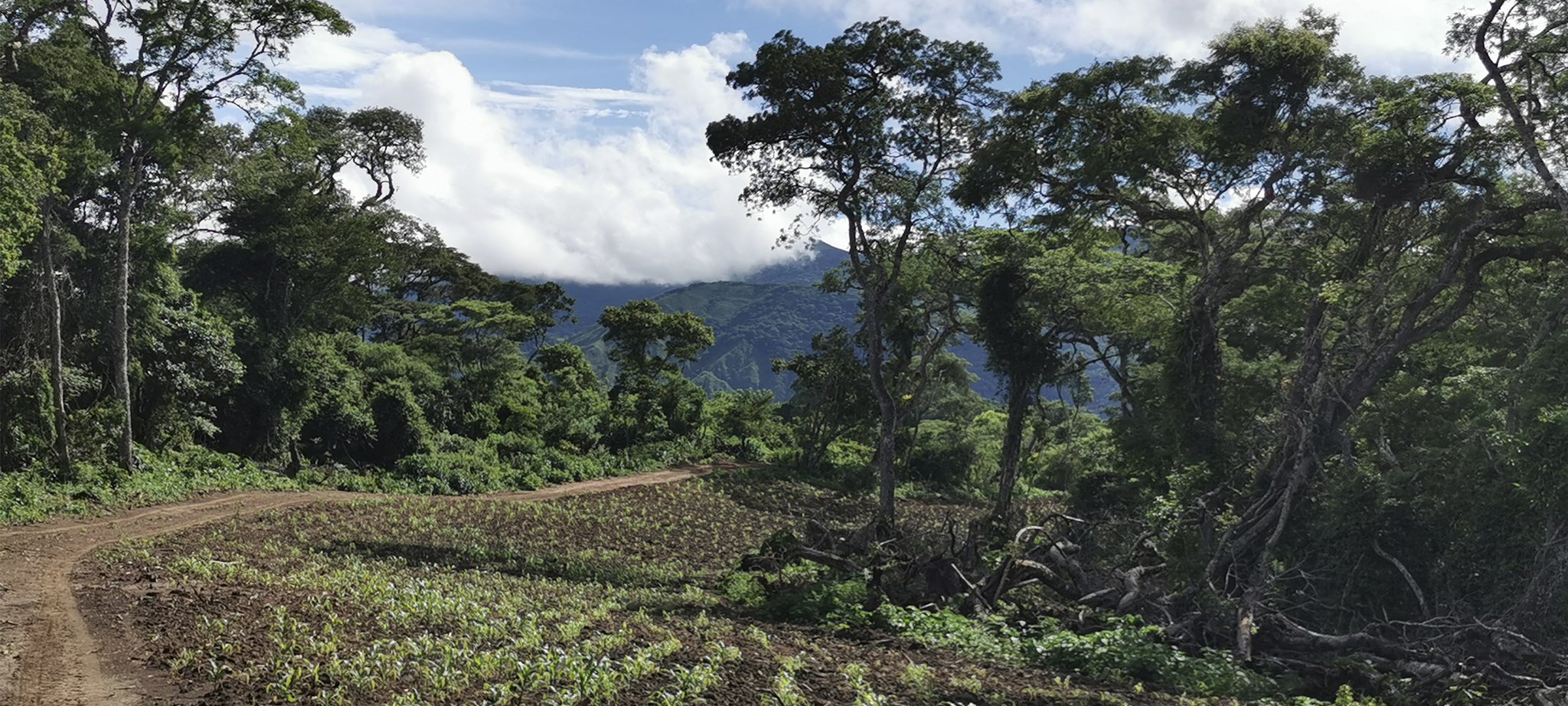 Wie haben einige landwirtschaftliche Bereiche 