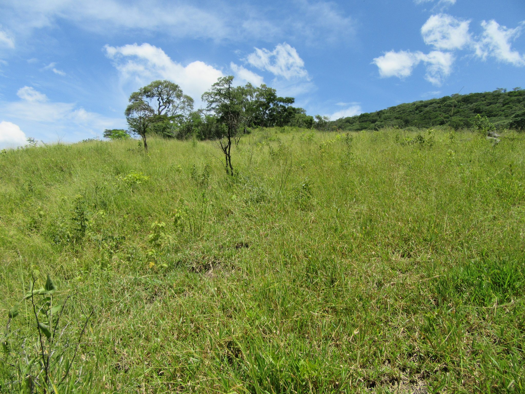 Das ist das Hochplateau, welches in der Vergangenheit auch für den Che Guevara ein Zufluchtsort war