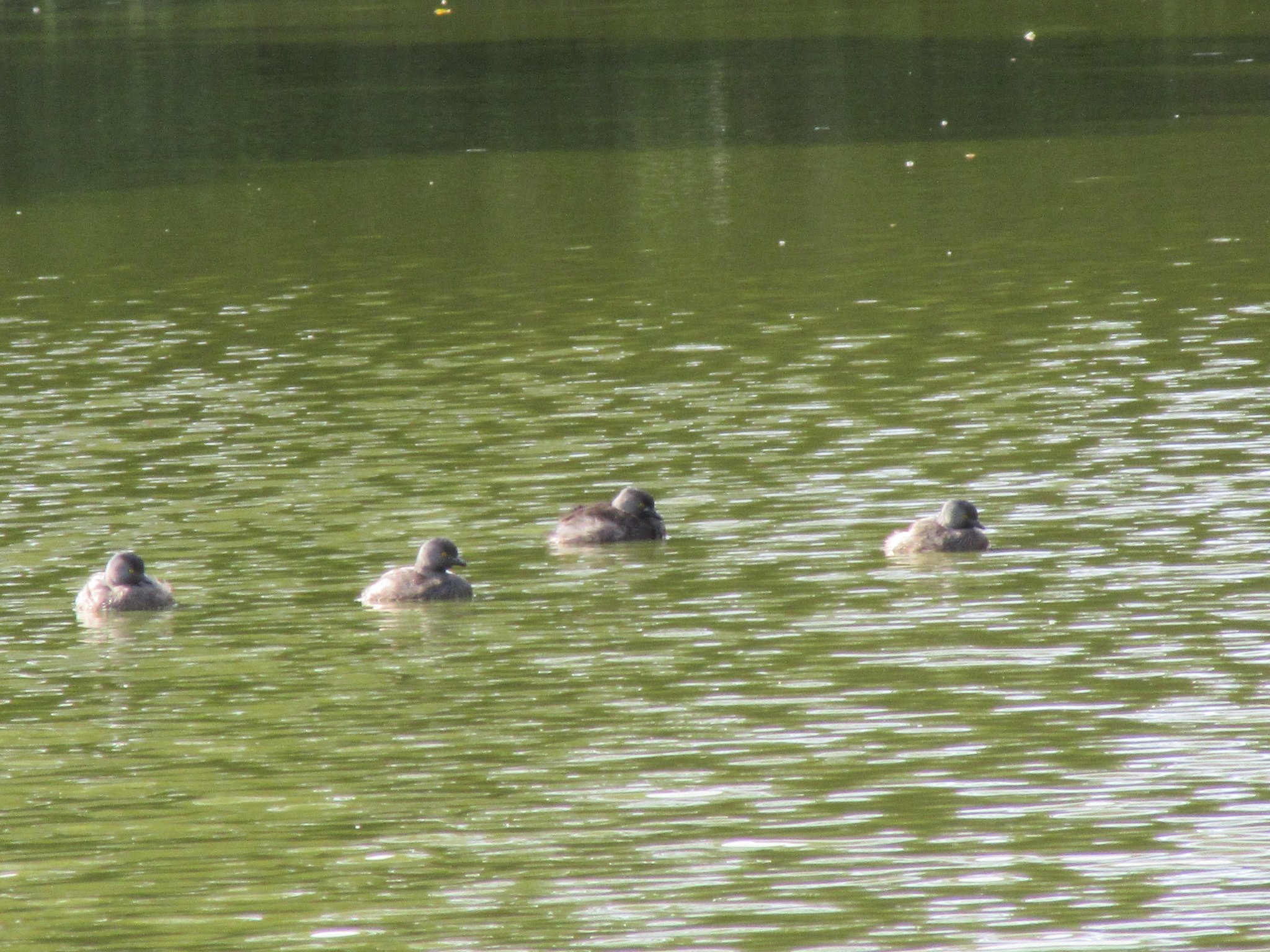 Ein Ort, wo die Natur noch funktioniert, weil es hier keine Umweltverschmutzung gibt