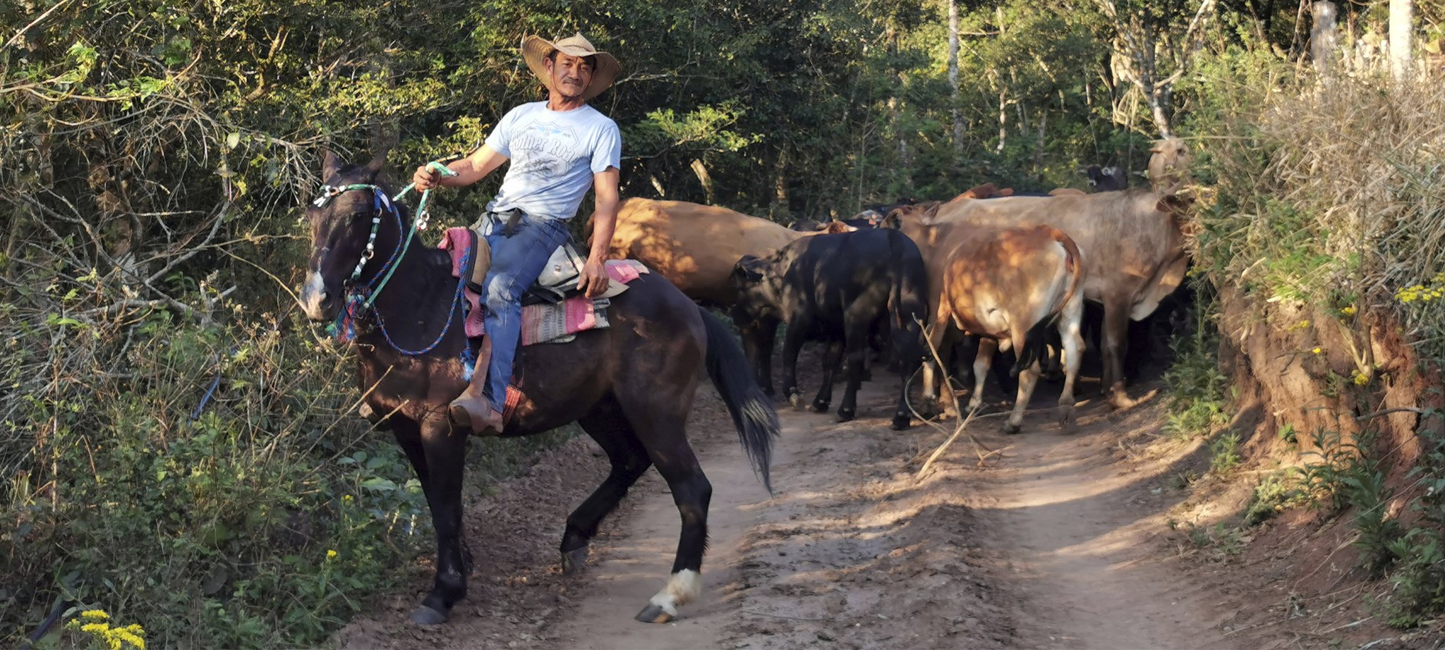 Einer unserer Cowboys