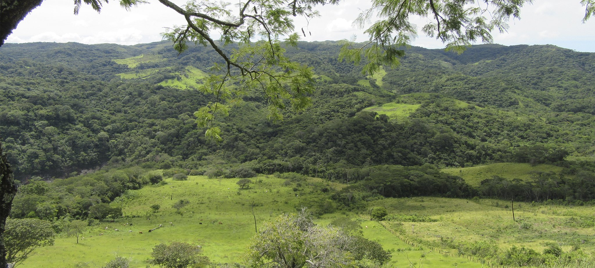 Der Eingangsbereich unseres Hochplateaus