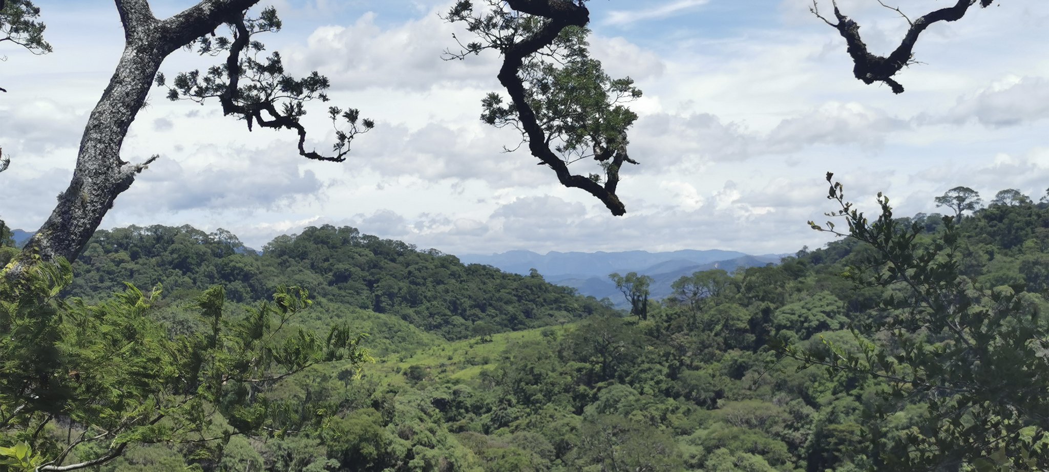 An dieser Stelle bauen wir derzeit eine Siedlung auf 