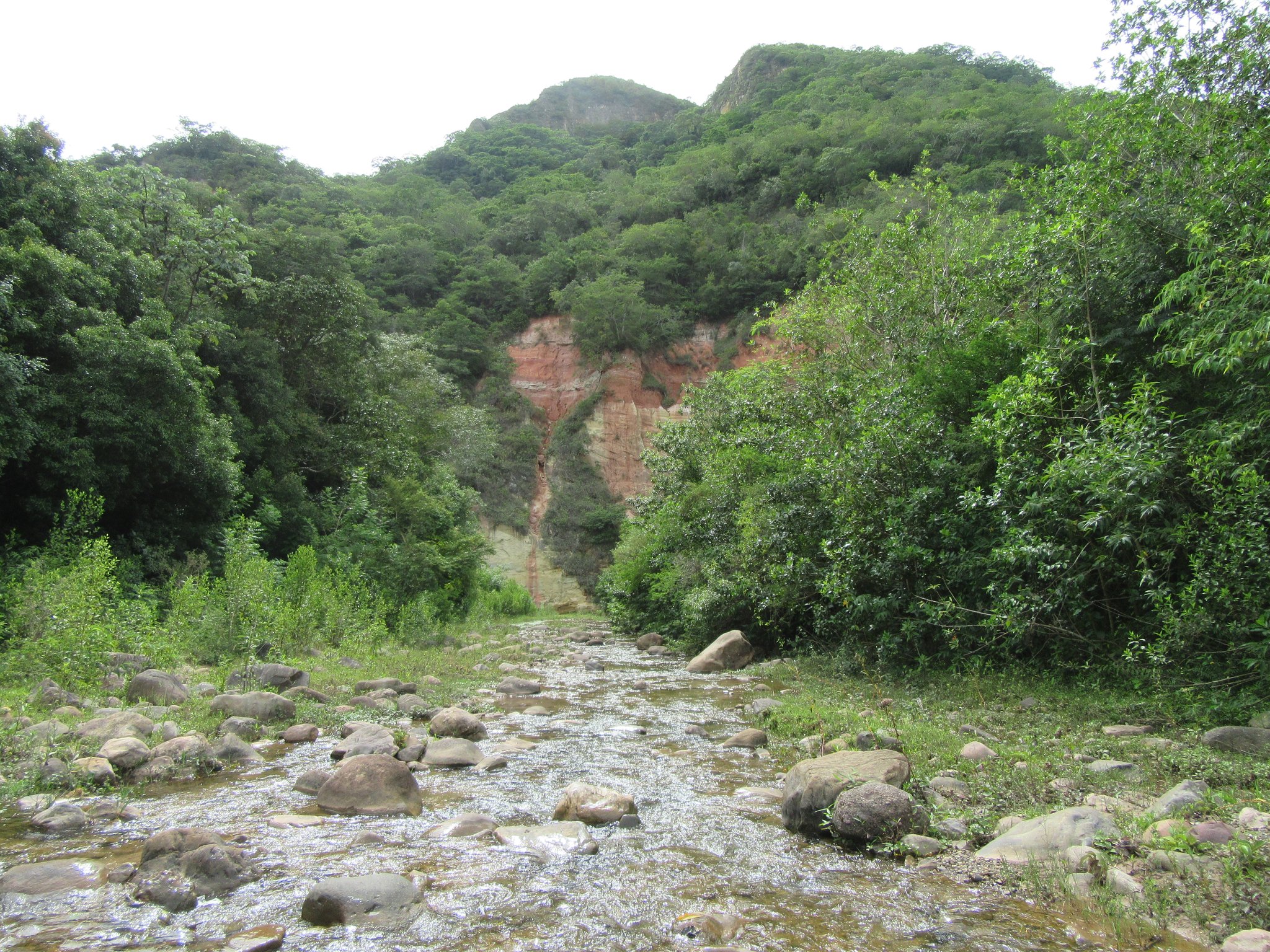 Und zirka 30 Mal geht es auch durch einen Bach 