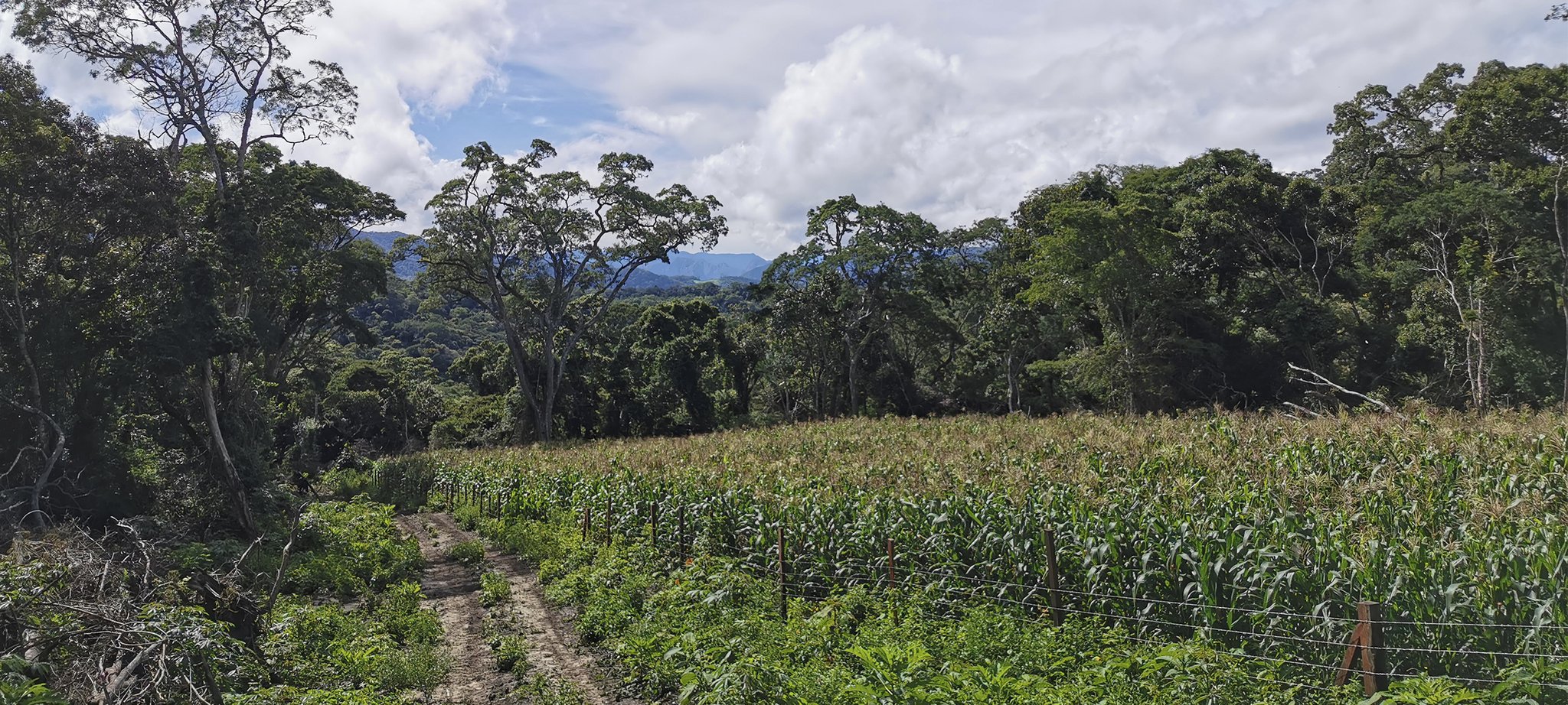 Im landwirtschaftlichen Bereich haben wir schon viel Erfahrung gesammelt