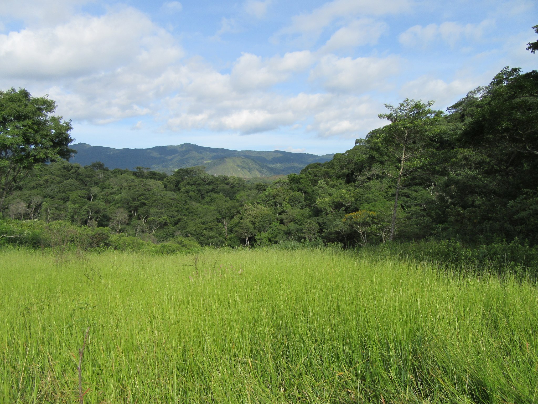 Der Boden ist sehr fruchtbar und das Grundwasser nur wenige Meter unter der Erde