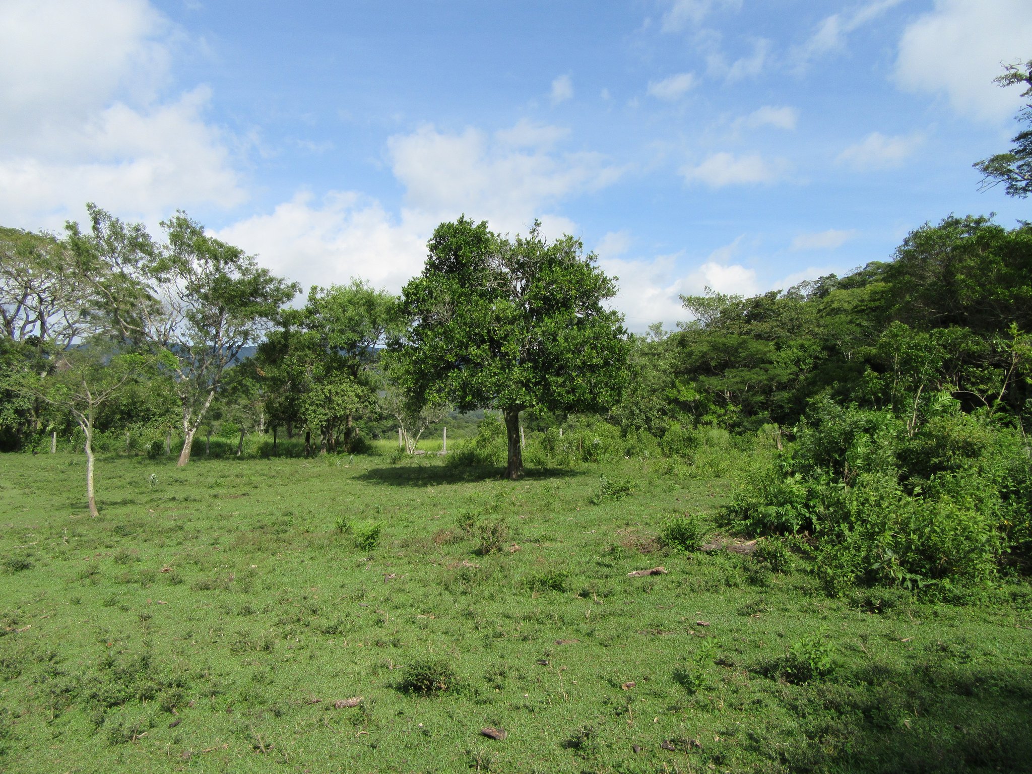 Unser Zufluchtsort ist schon zirka fünfundzwanzig Quadratkilometer groß