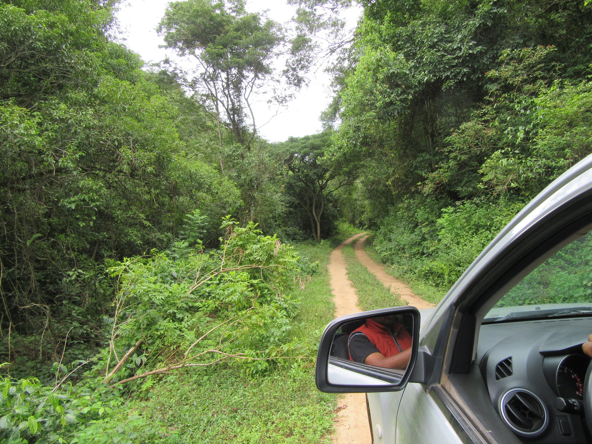 Die letzten 40 Kilometer sind Feldwege wie dieser hier