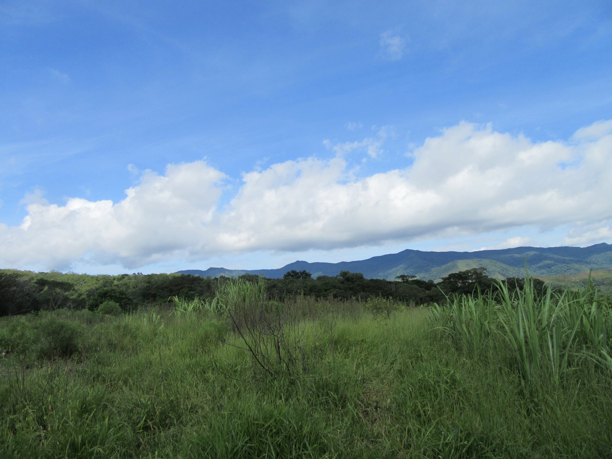 Die Aussicht ist herrlich in alle Richtungen